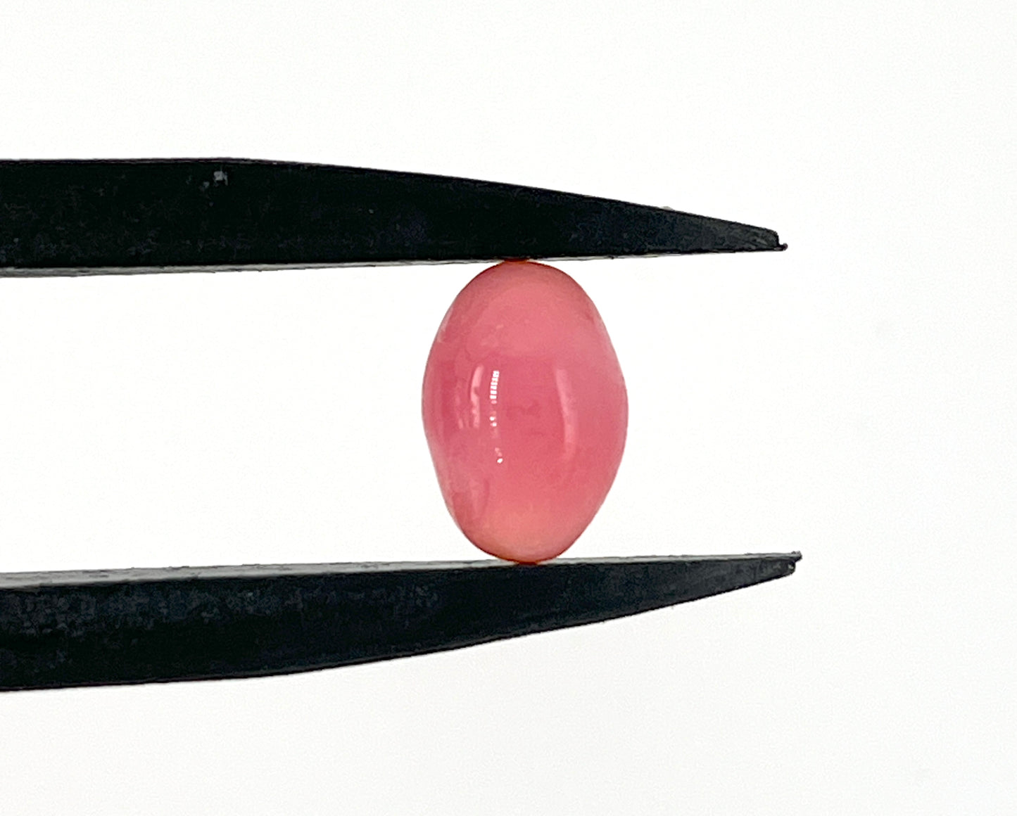 3.00 ct. Natural Pink Conch Pearl