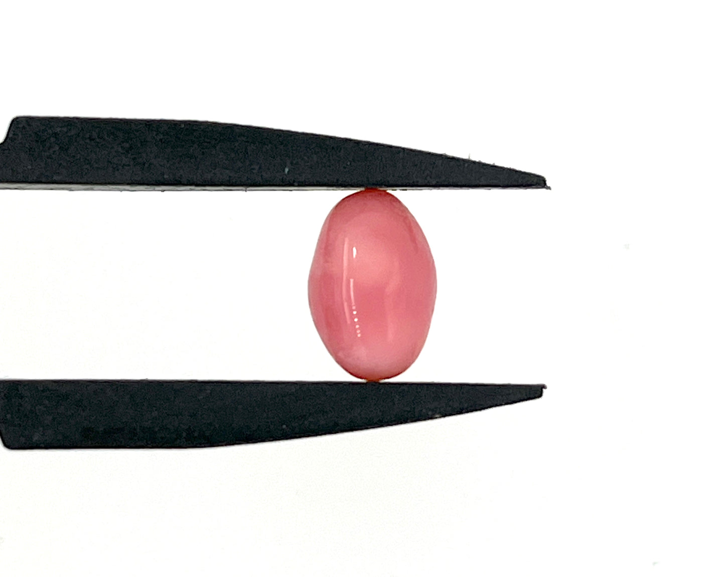 3.00 ct. Natural Pink Conch Pearl