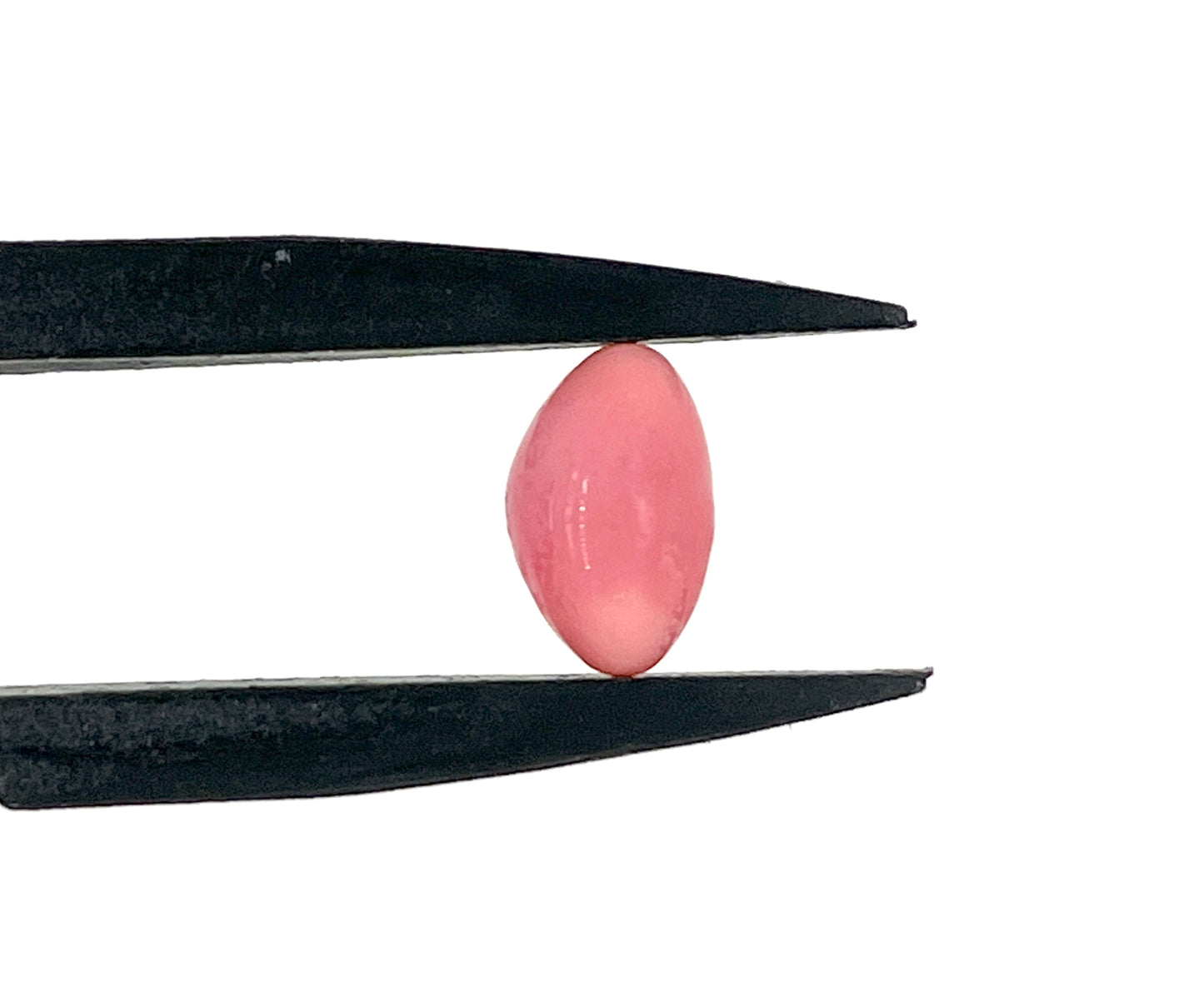 3.00 ct. Natural Pink Conch Pearl