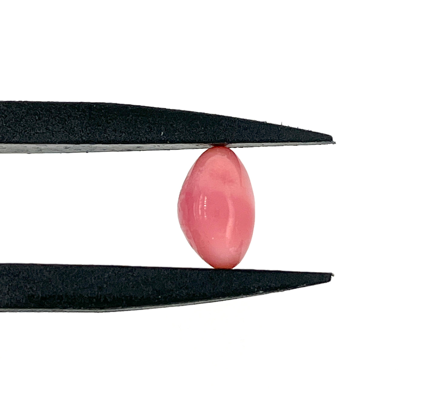 3.00 ct. Natural Pink Conch Pearl
