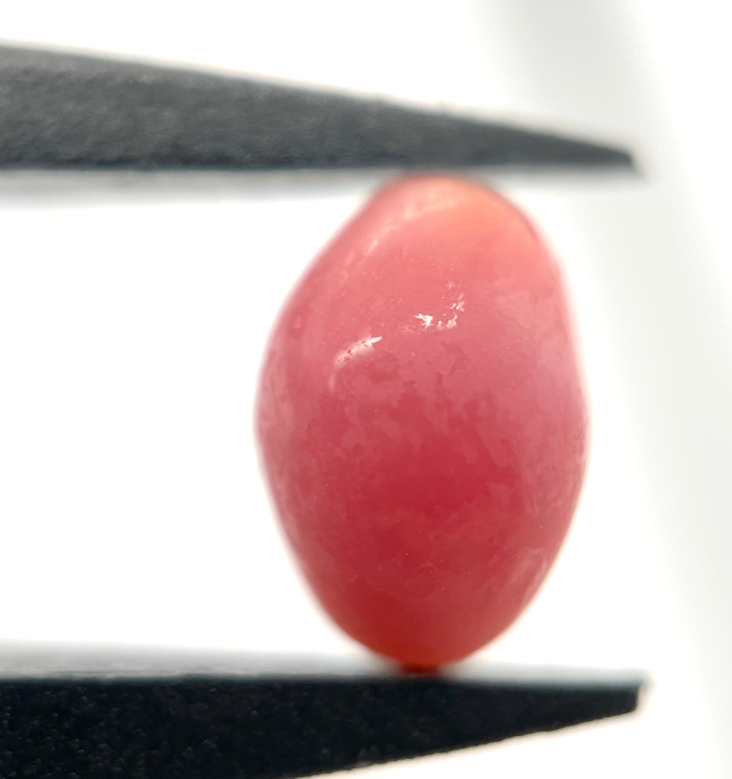 3.00 ct. Natural Pink Conch Pearl
