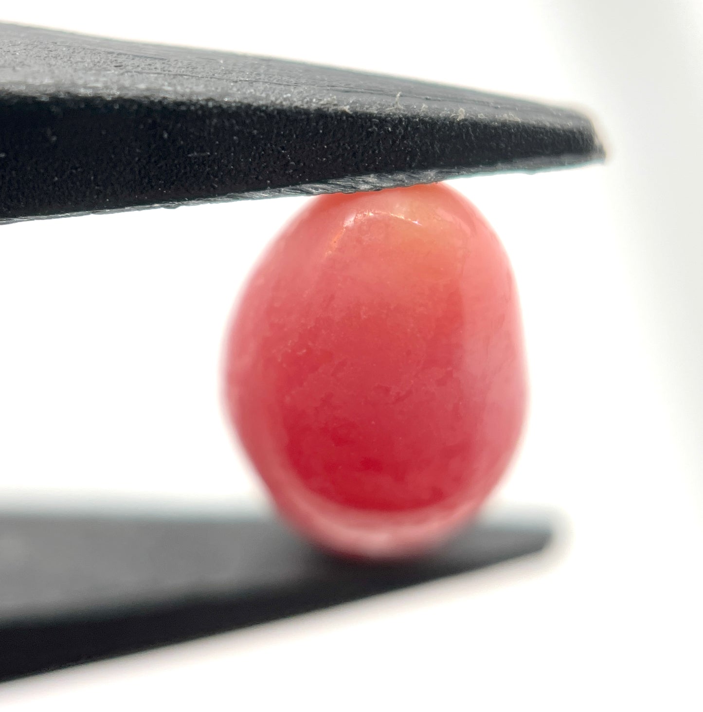 3.00 ct. Natural Pink Conch Pearl