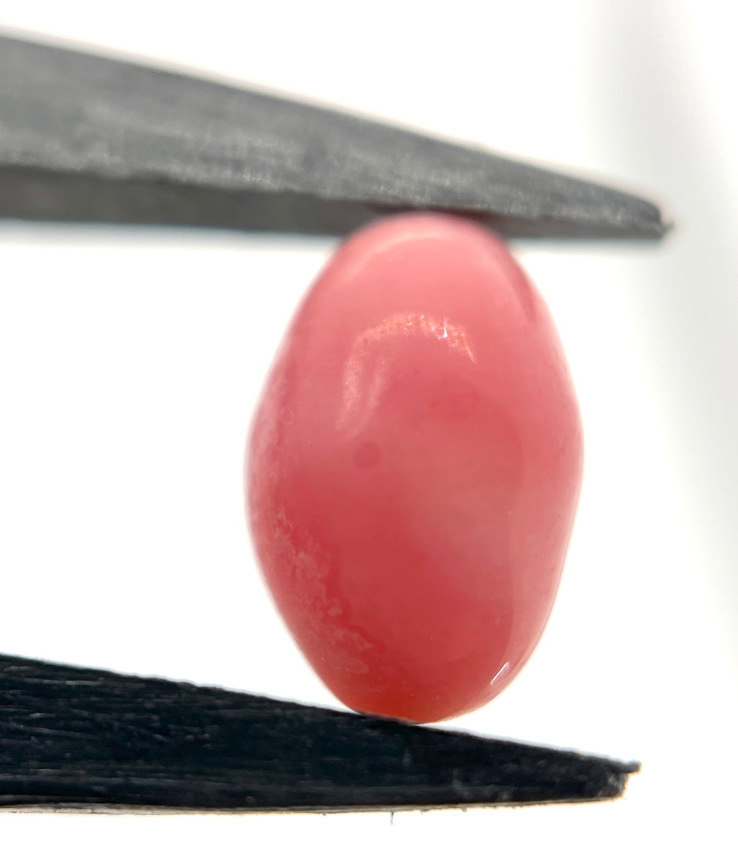 3.00 ct. Natural Pink Conch Pearl