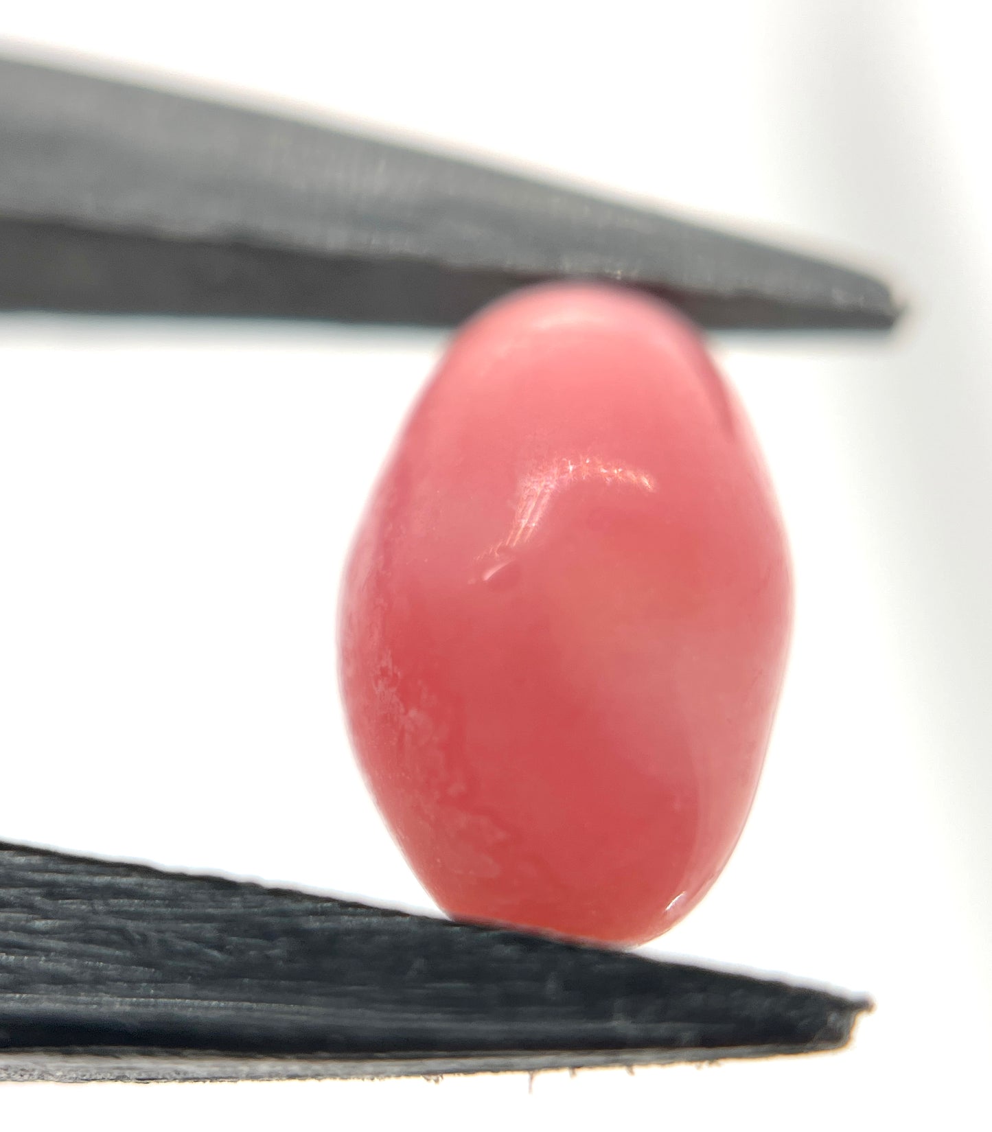 3.00 ct. Natural Pink Conch Pearl