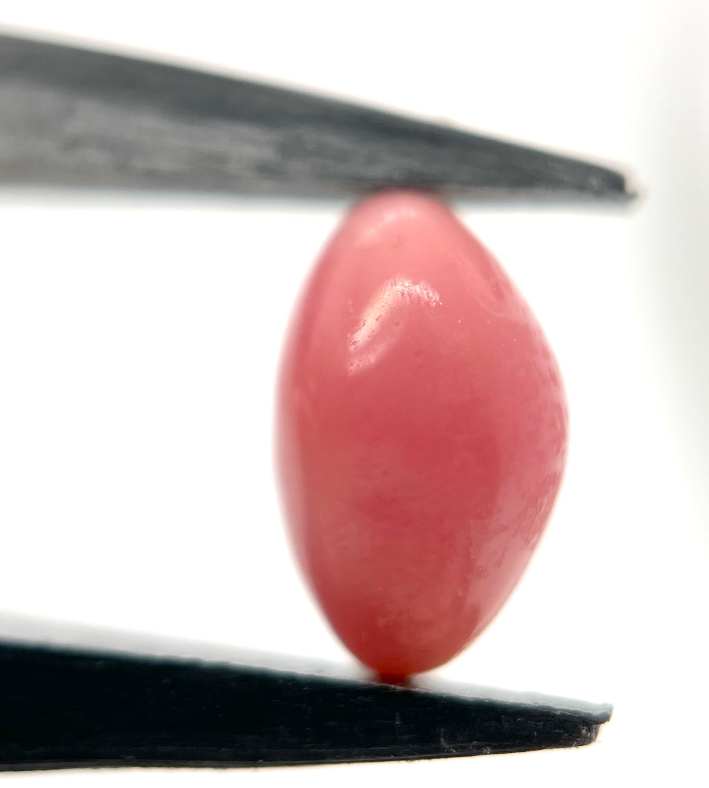 3.00 ct. Natural Pink Conch Pearl