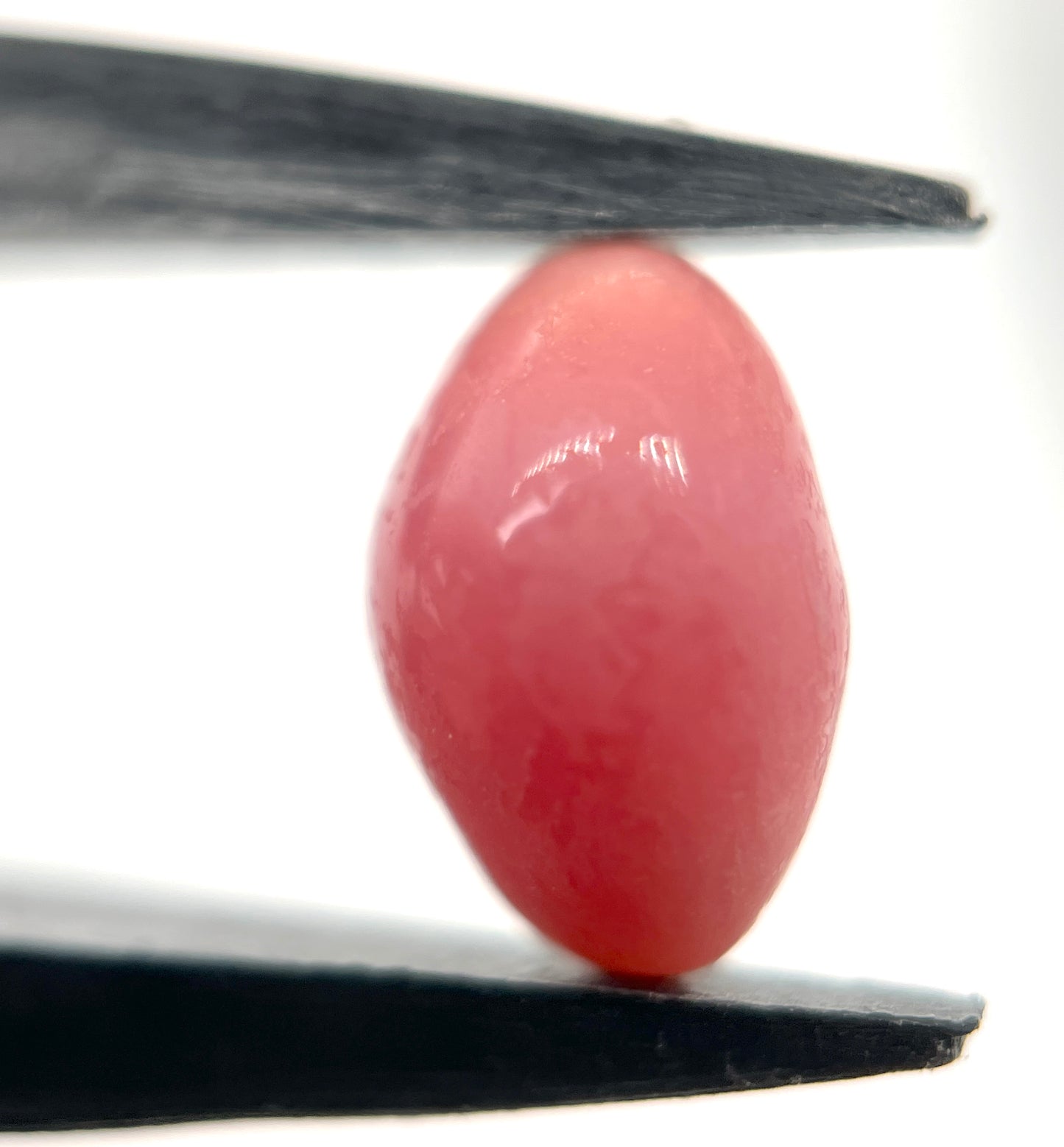 3.00 ct. Natural Pink Conch Pearl