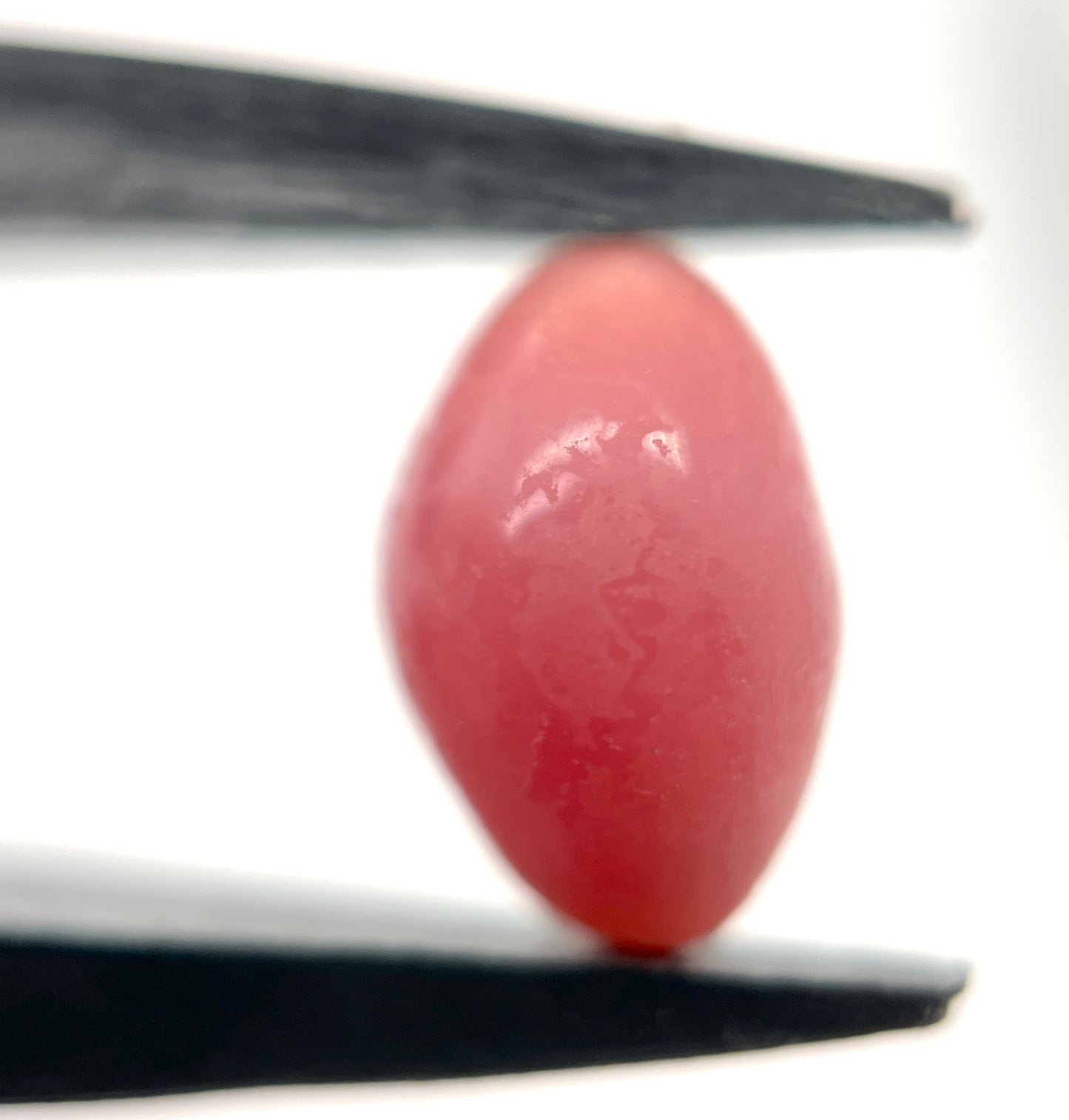 3.00 ct. Natural Pink Conch Pearl
