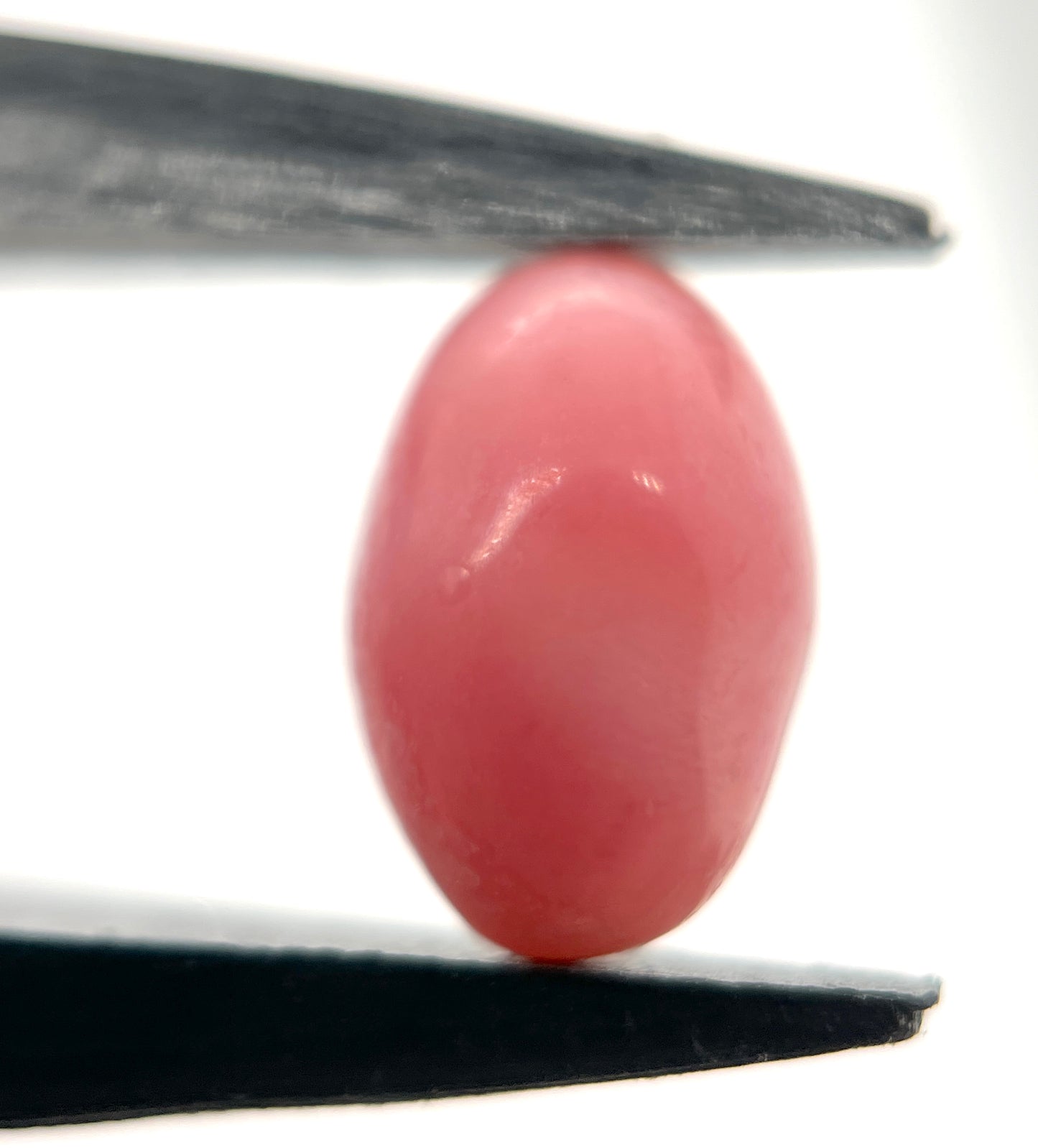 3.00 ct. Natural Pink Conch Pearl