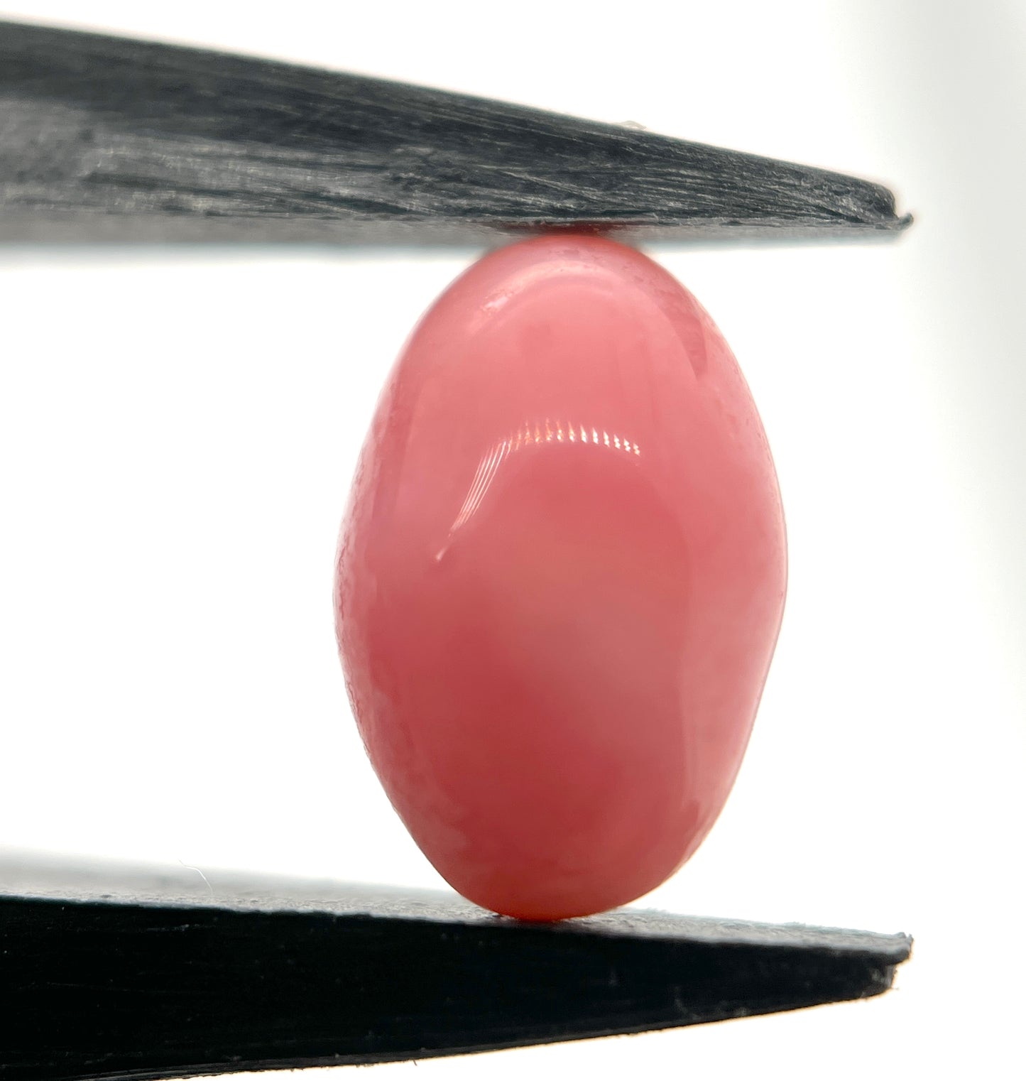 3.00 ct. Natural Pink Conch Pearl