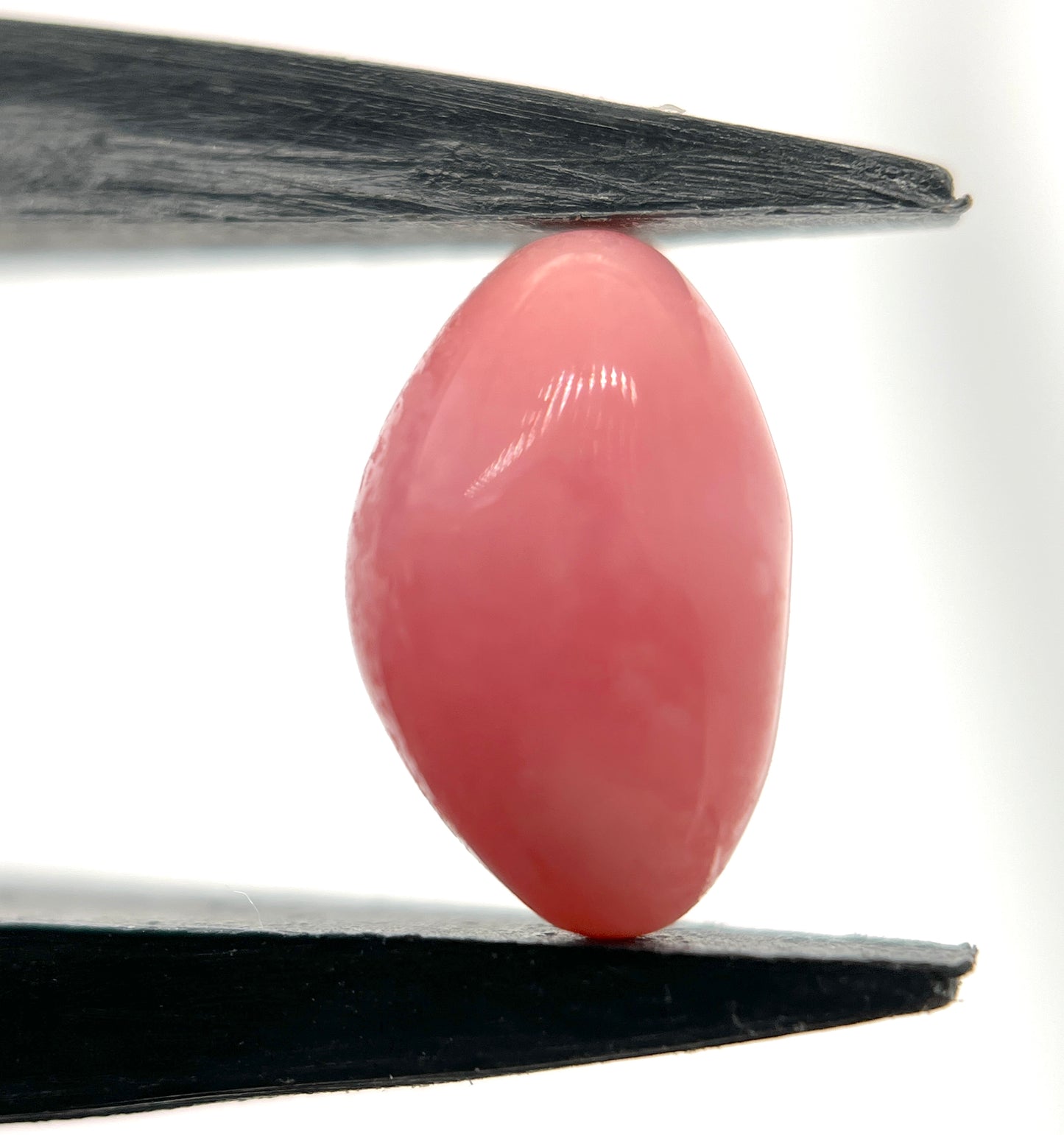 3.00 ct. Natural Pink Conch Pearl