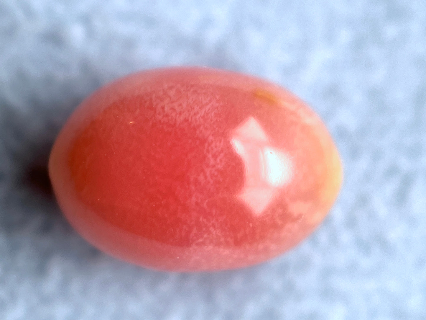 2.53 ct. Natural Pink Conch Pearl