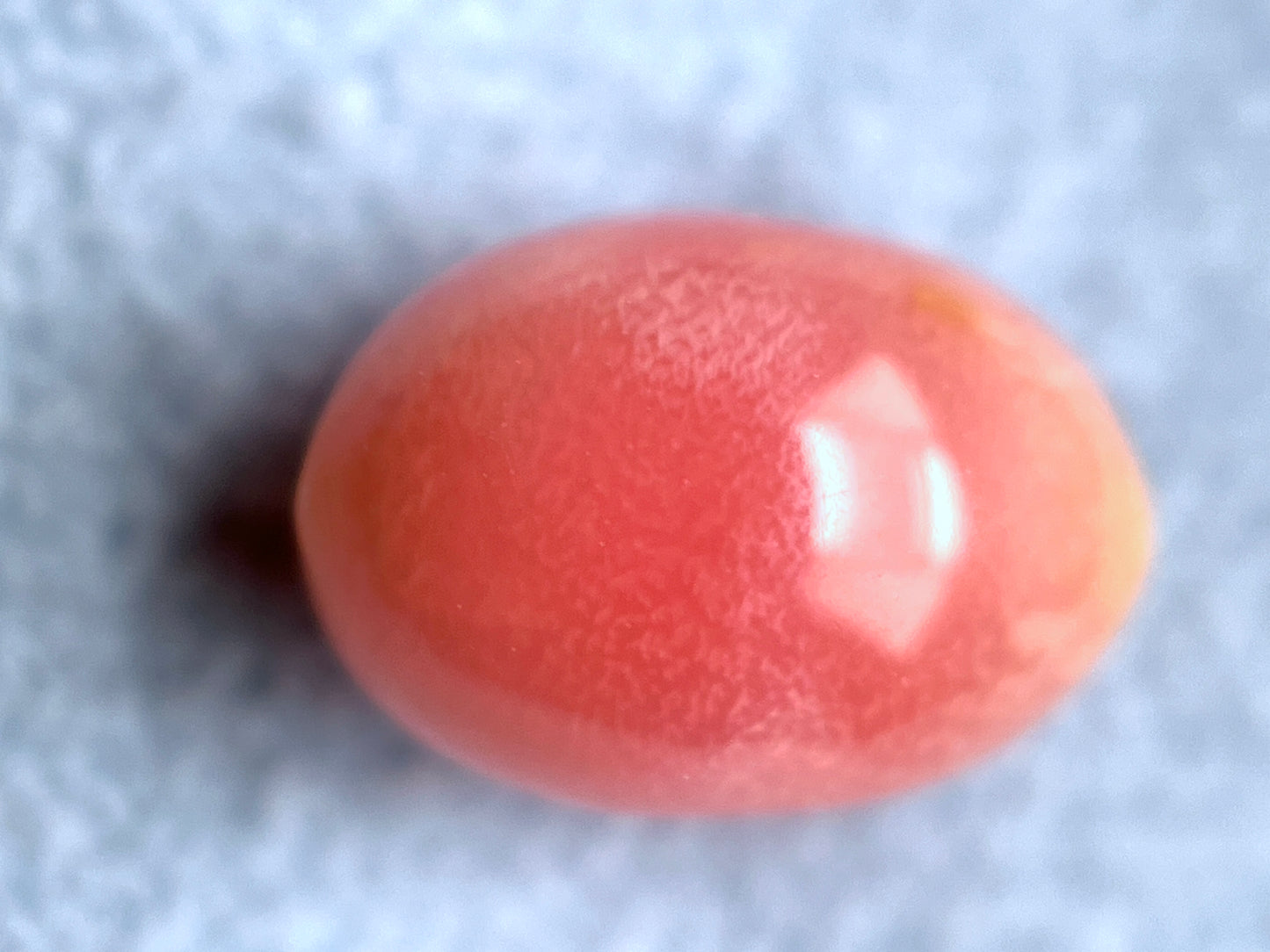2.53 ct. Natural Pink Conch Pearl
