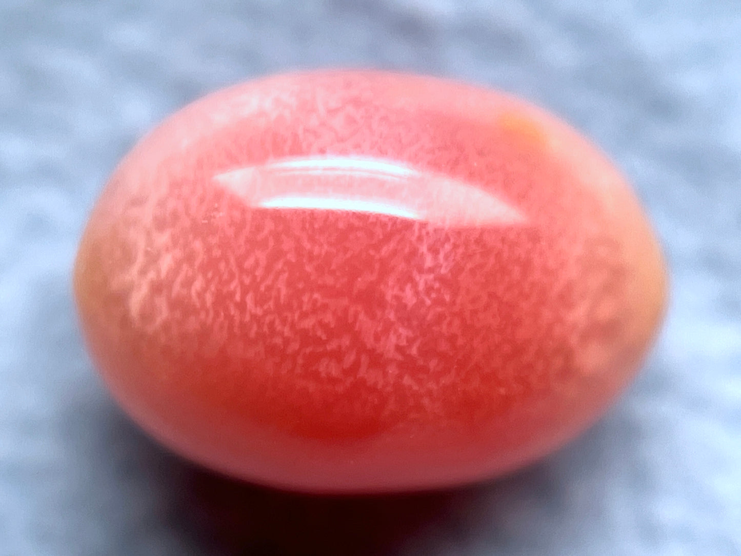 2.53 ct. Natural Pink Conch Pearl