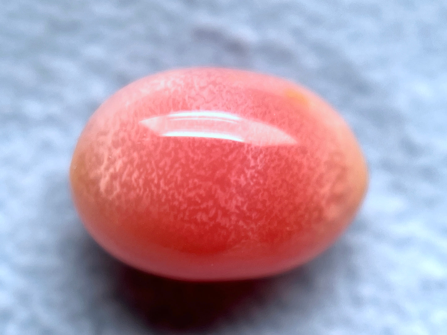 2.53 ct. Natural Pink Conch Pearl