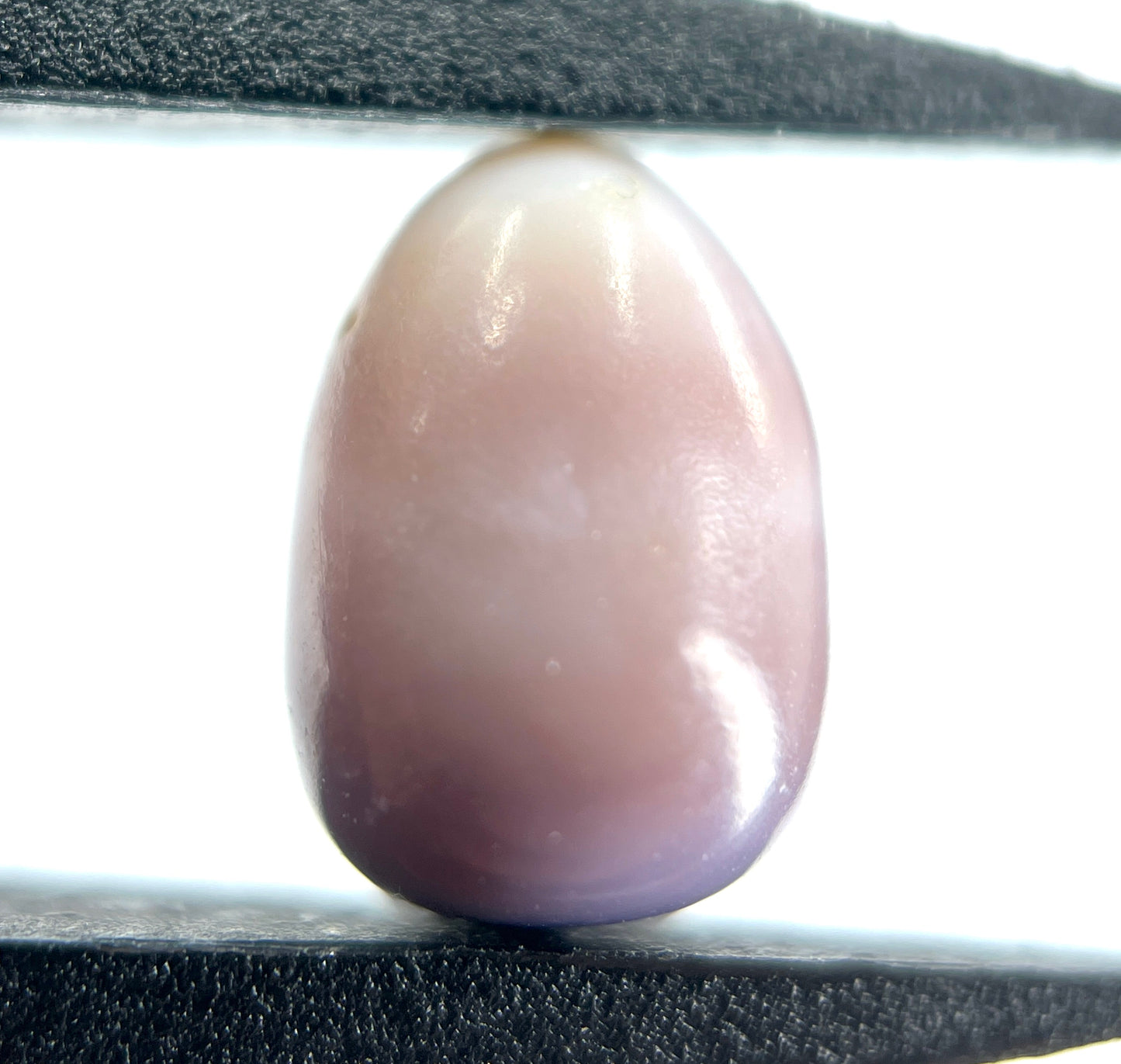 3.37 ct. Natural Purple Quahog Pearl