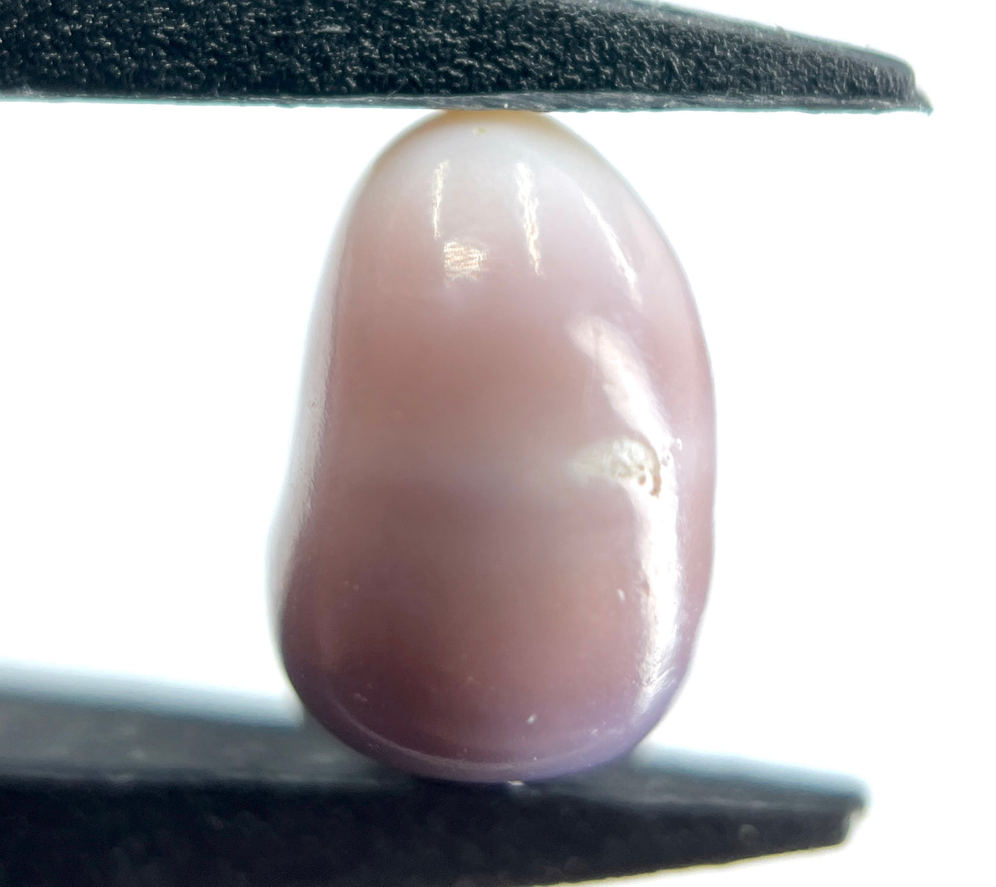 3.37 ct. Natural Purple Quahog Pearl