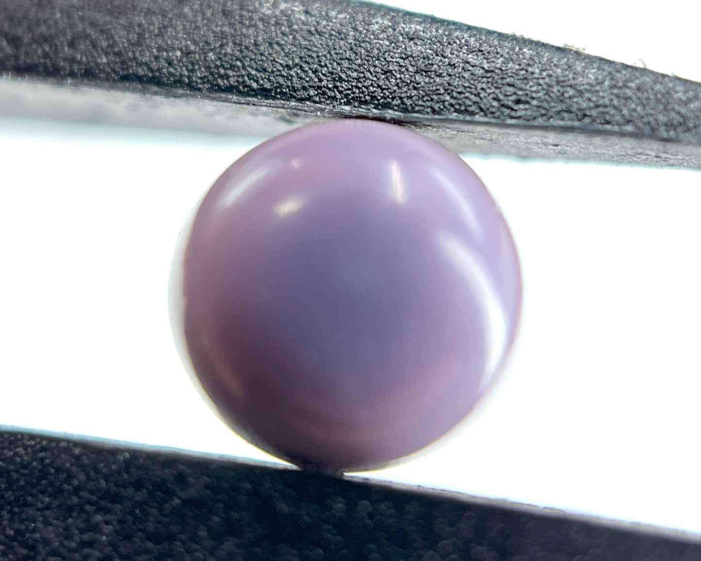 3.37 ct. Natural Purple Quahog Pearl
