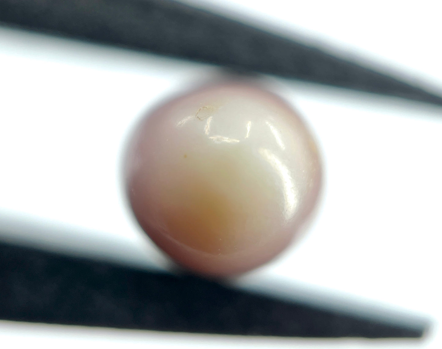 3.37 ct. Natural Purple Quahog Pearl