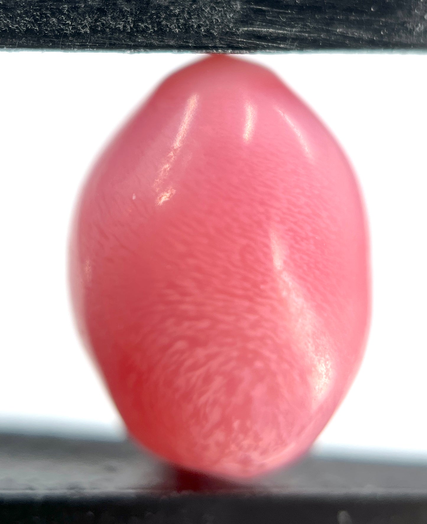 6.80 ct. Natural Pink Conch Pearl