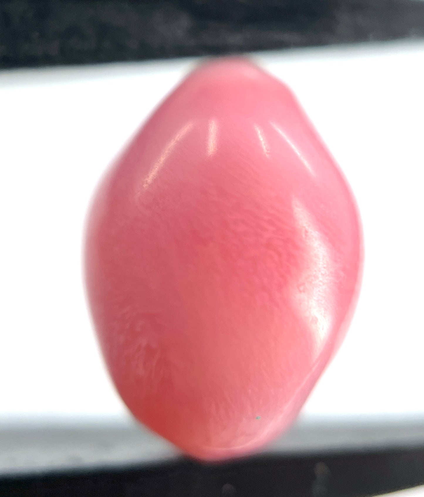 6.80 ct. Natural Pink Conch Pearl