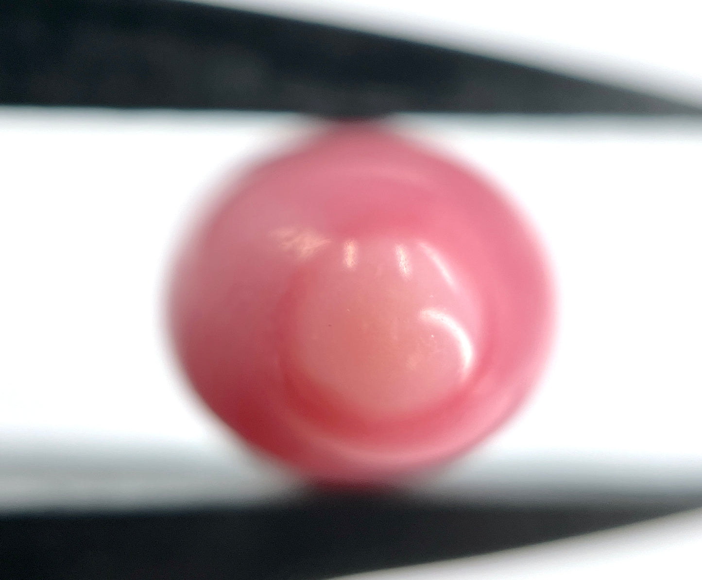6.80 ct. Natural Pink Conch Pearl