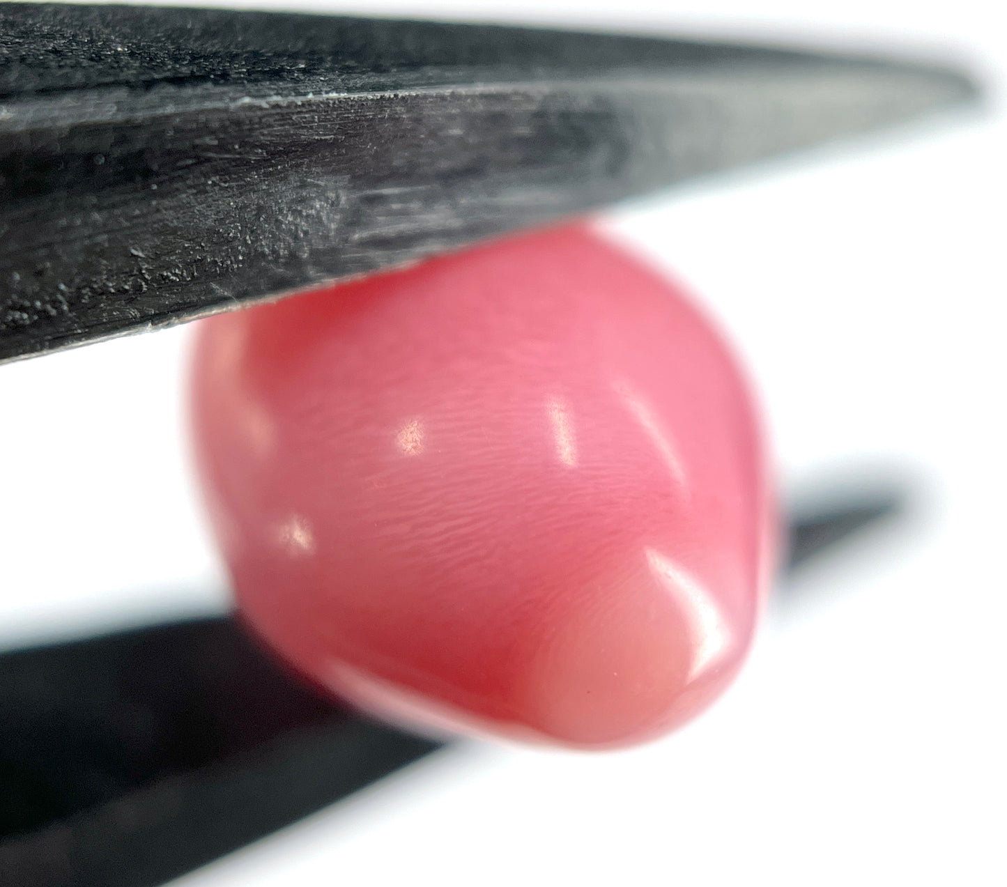 6.80 ct. Natural Pink Conch Pearl