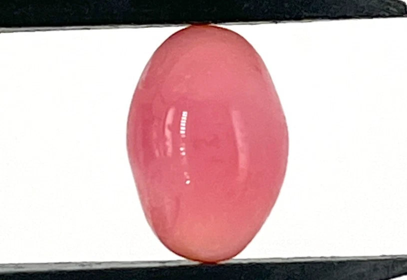 3.00 ct. Natural Pink Conch Pearl with Flame – Global Gemology