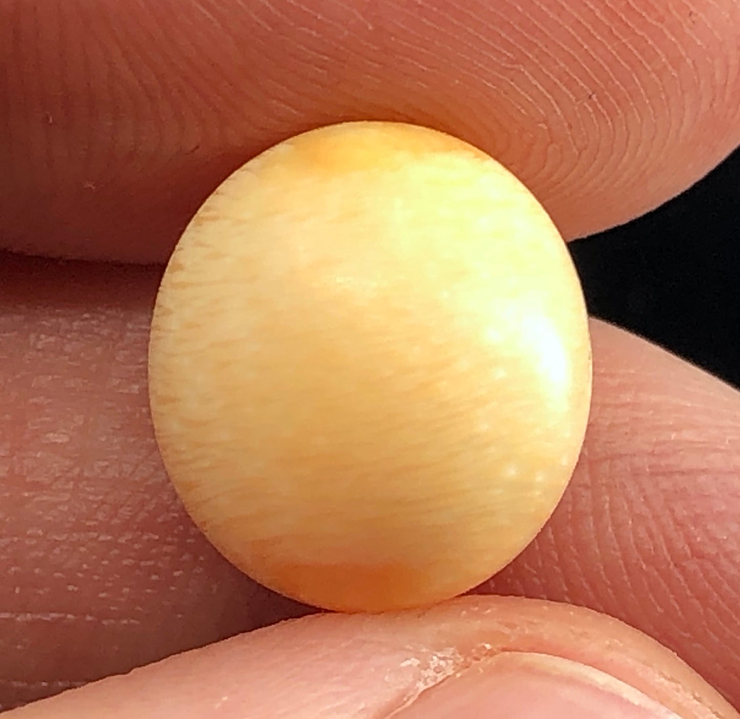 GIA 10.52 ct. Natural Melo Melo Pearl