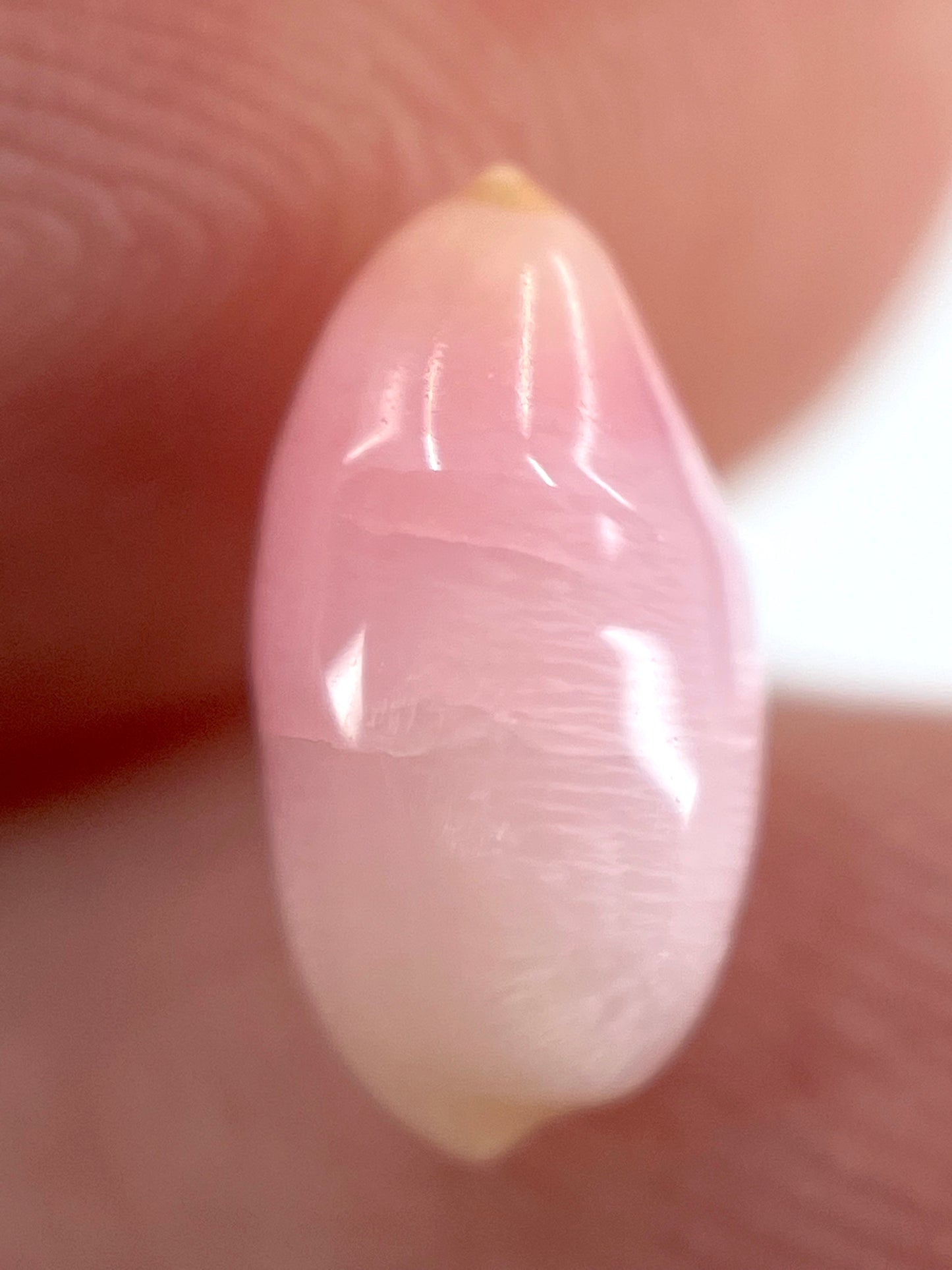 2.12 ct. Natural Pink Conch Pearl