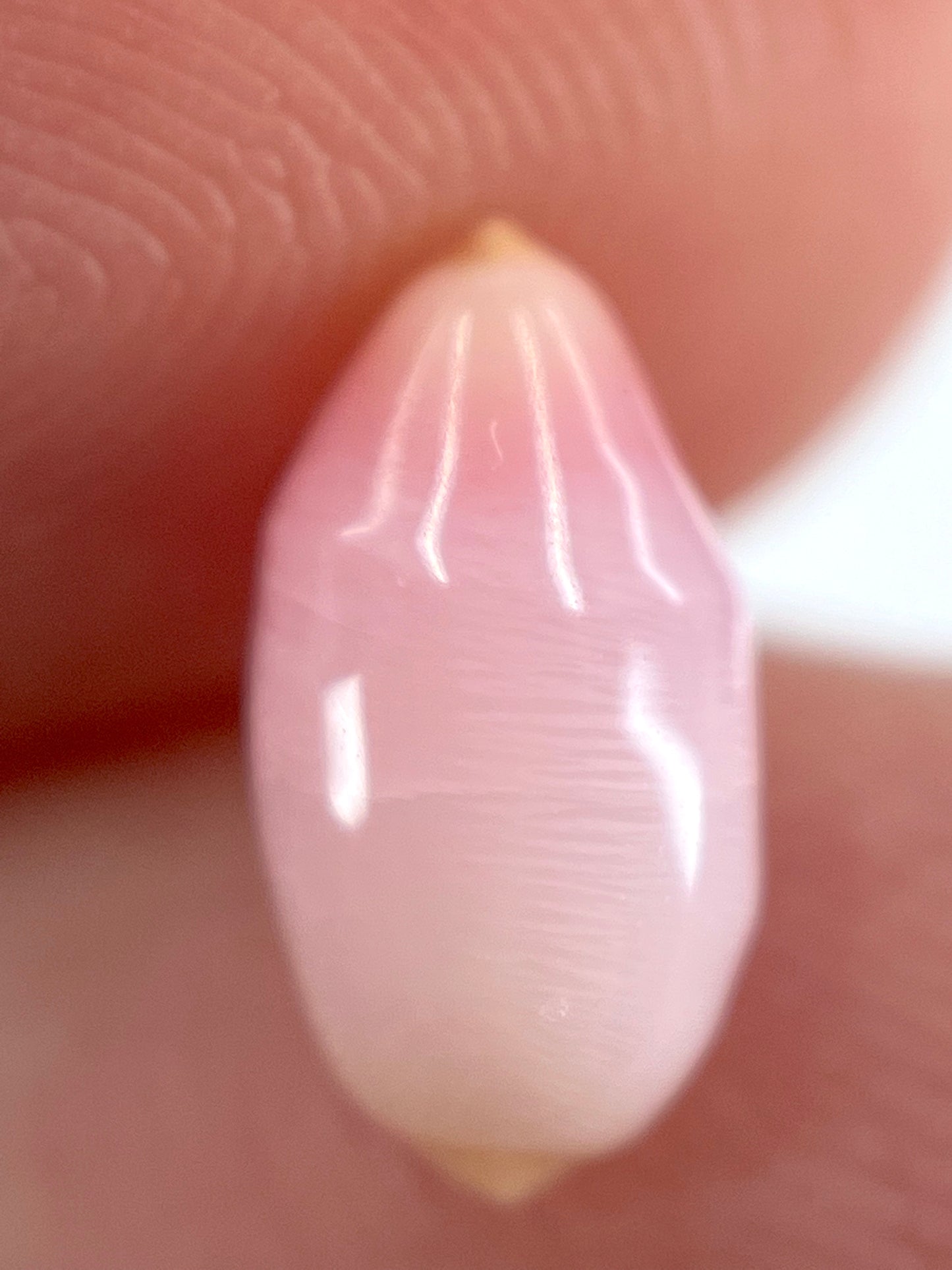 2.12 ct. Natural Pink Conch Pearl