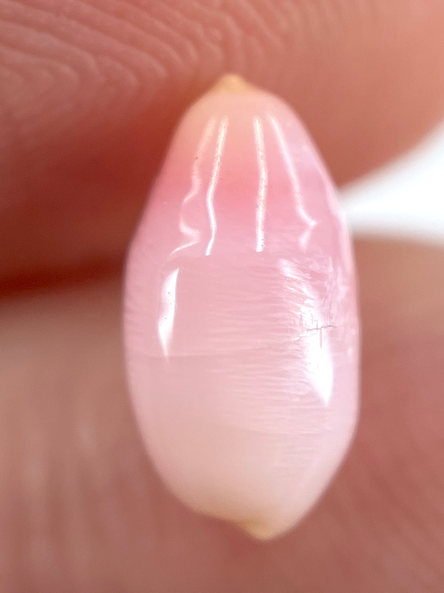 2.12 ct. Natural Pink Conch Pearl