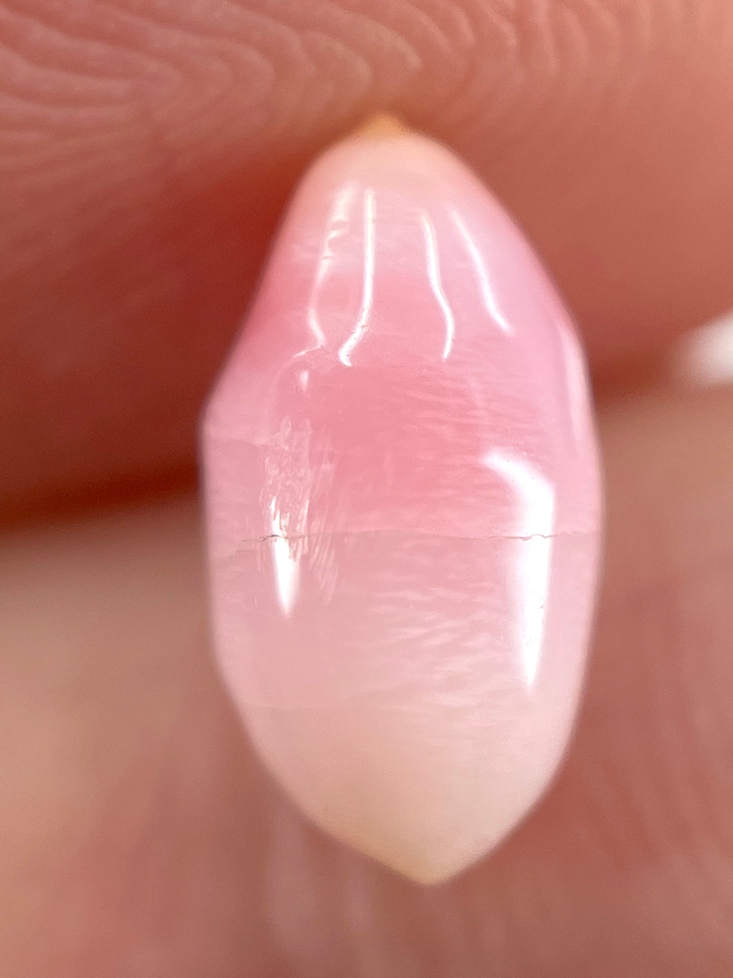 2.12 ct. Natural Pink Conch Pearl