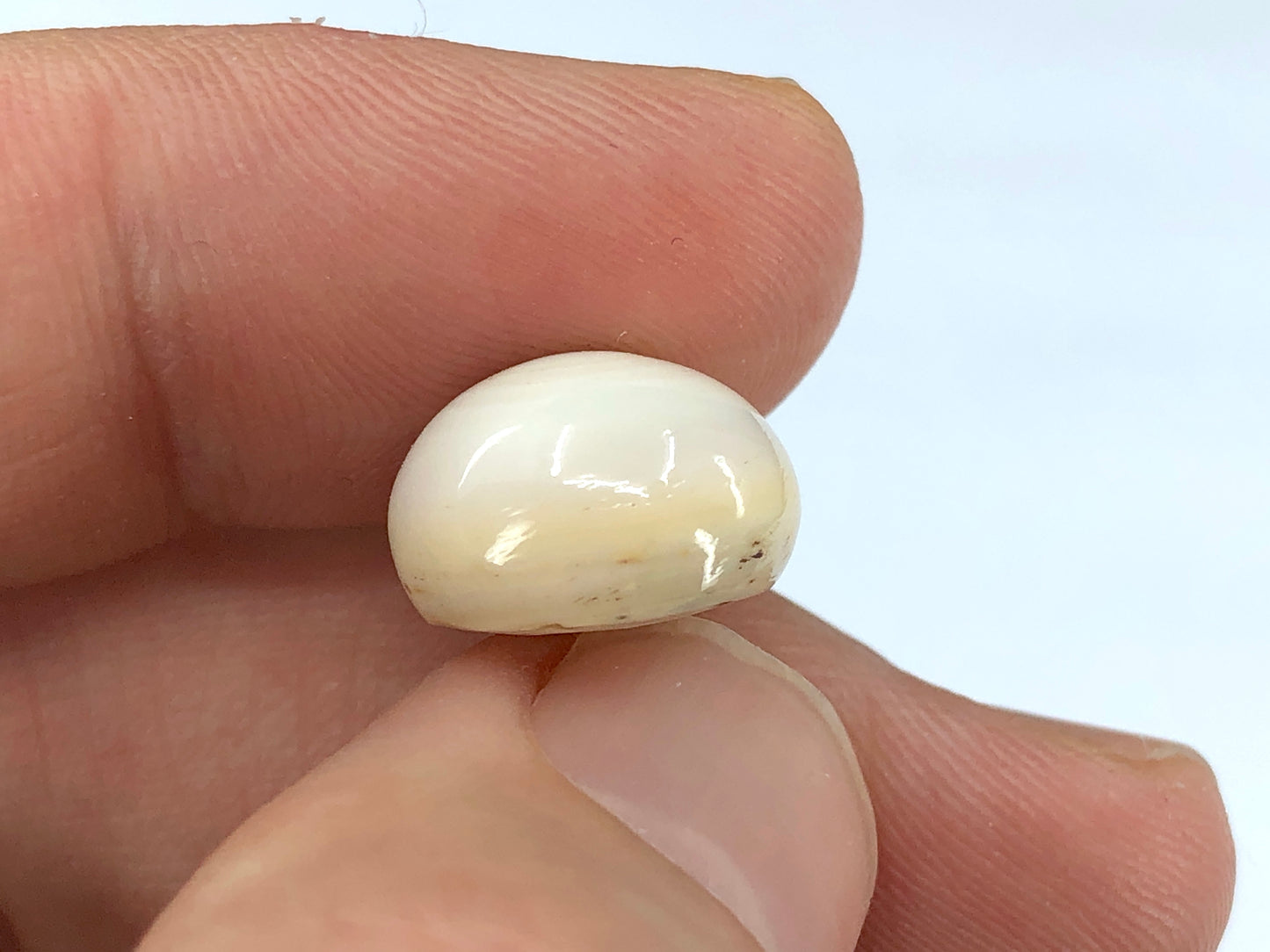 GIA 12.52 ct. Natural White Quahog Pearl