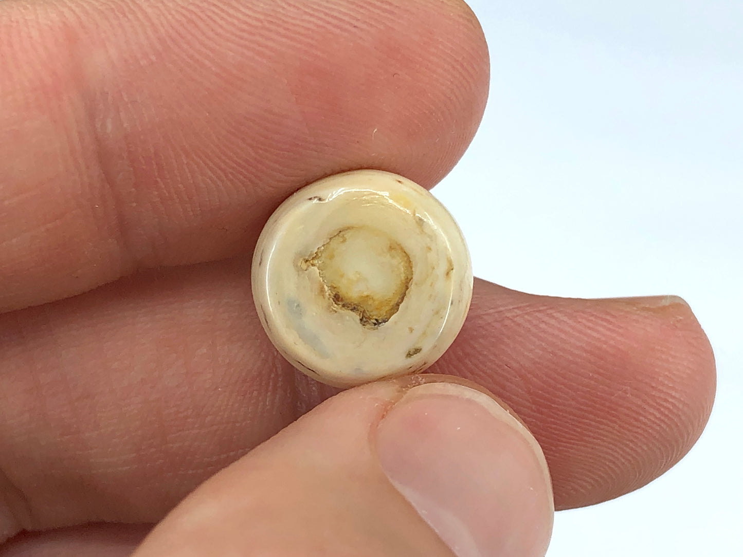 GIA 12.52 ct. Natural White Quahog Pearl