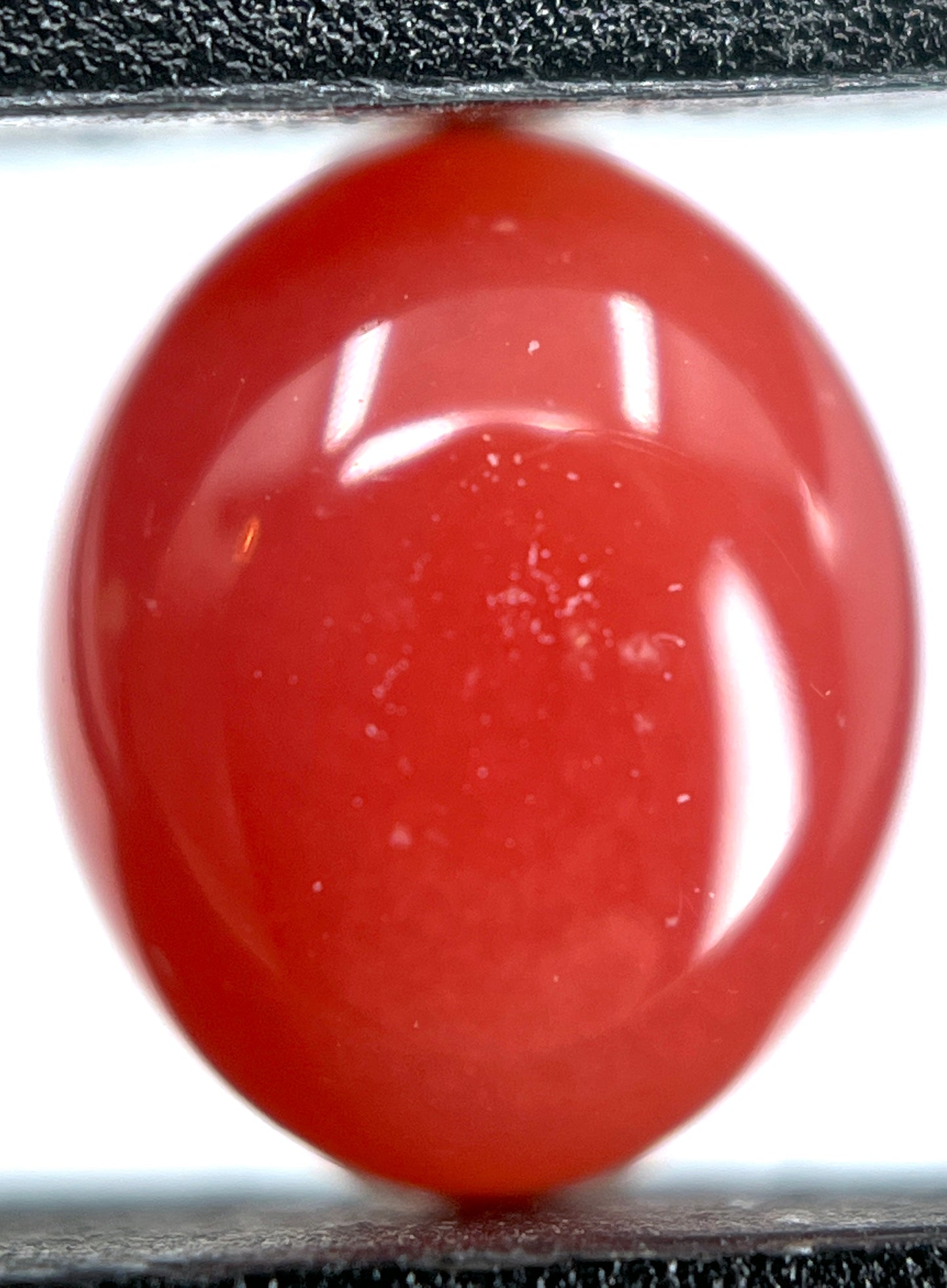 2.35 ct. Natural Reddish Pink Conch Pearl
