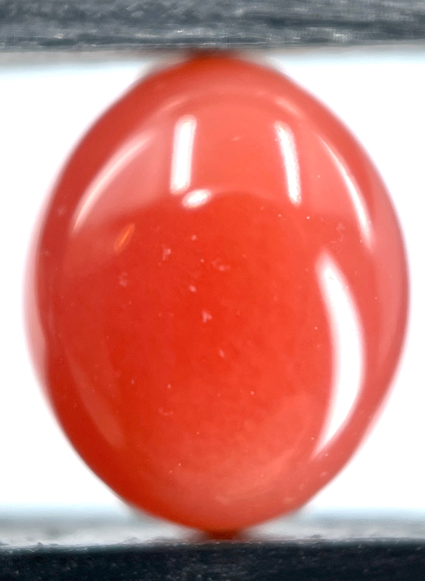 2.35 ct. Natural Reddish Pink Conch Pearl