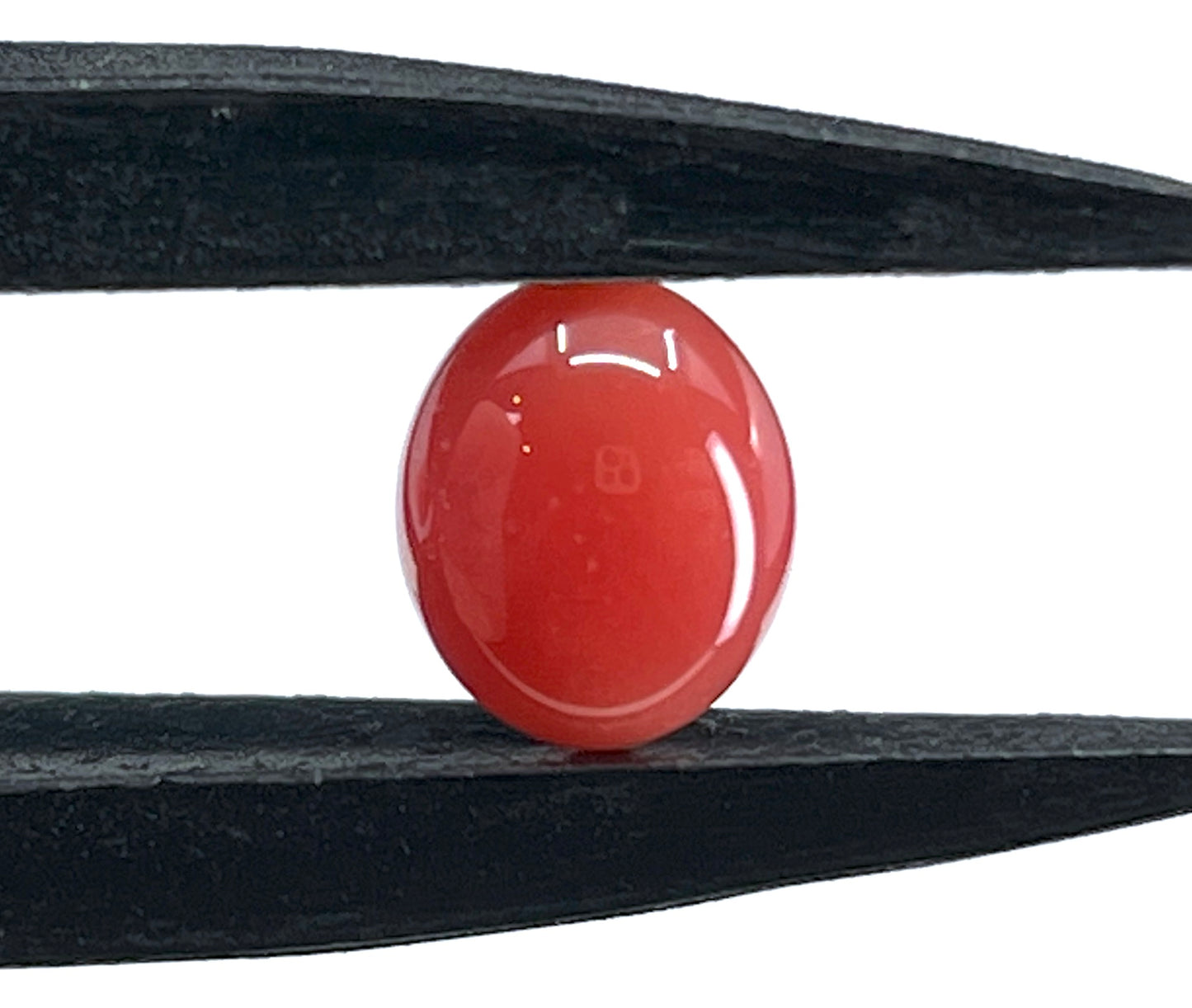 2.35 ct. Natural Reddish Pink Conch Pearl