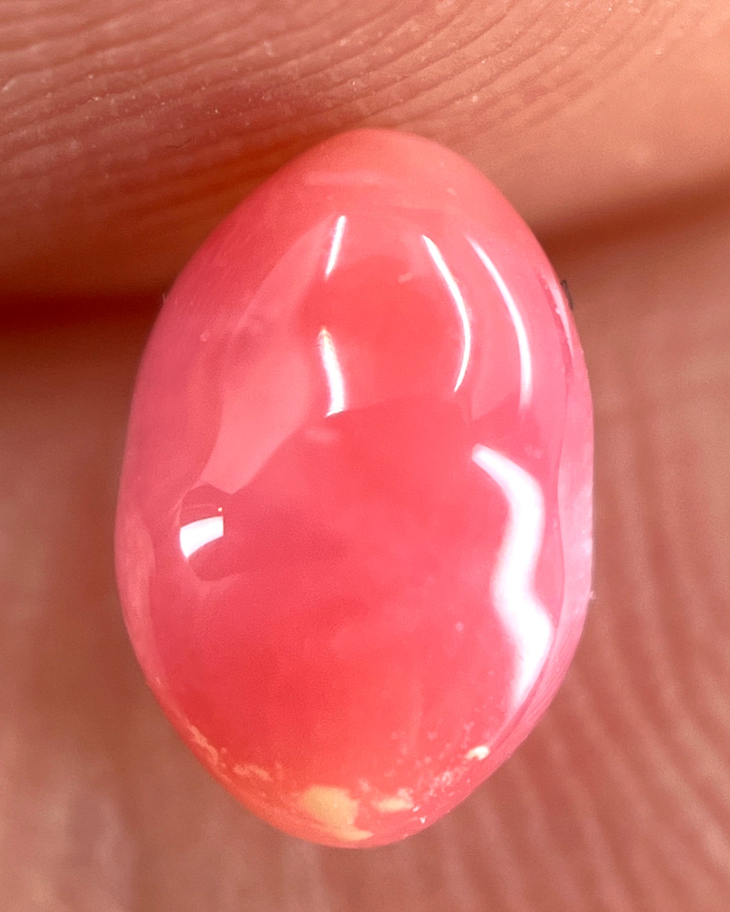 1.25 ct. Natural Pink Conch Pearl