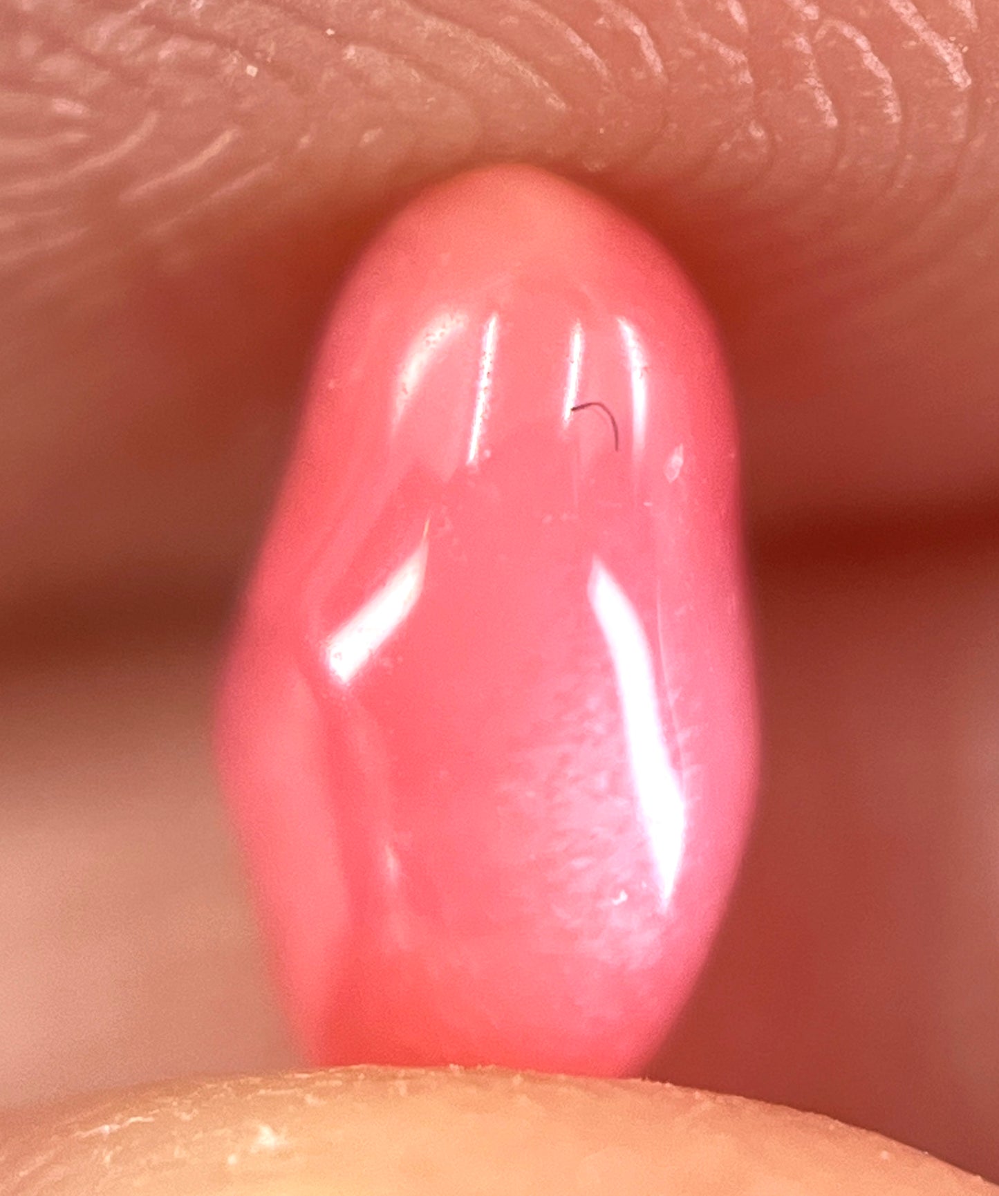 1.25 ct. Natural Pink Conch Pearl