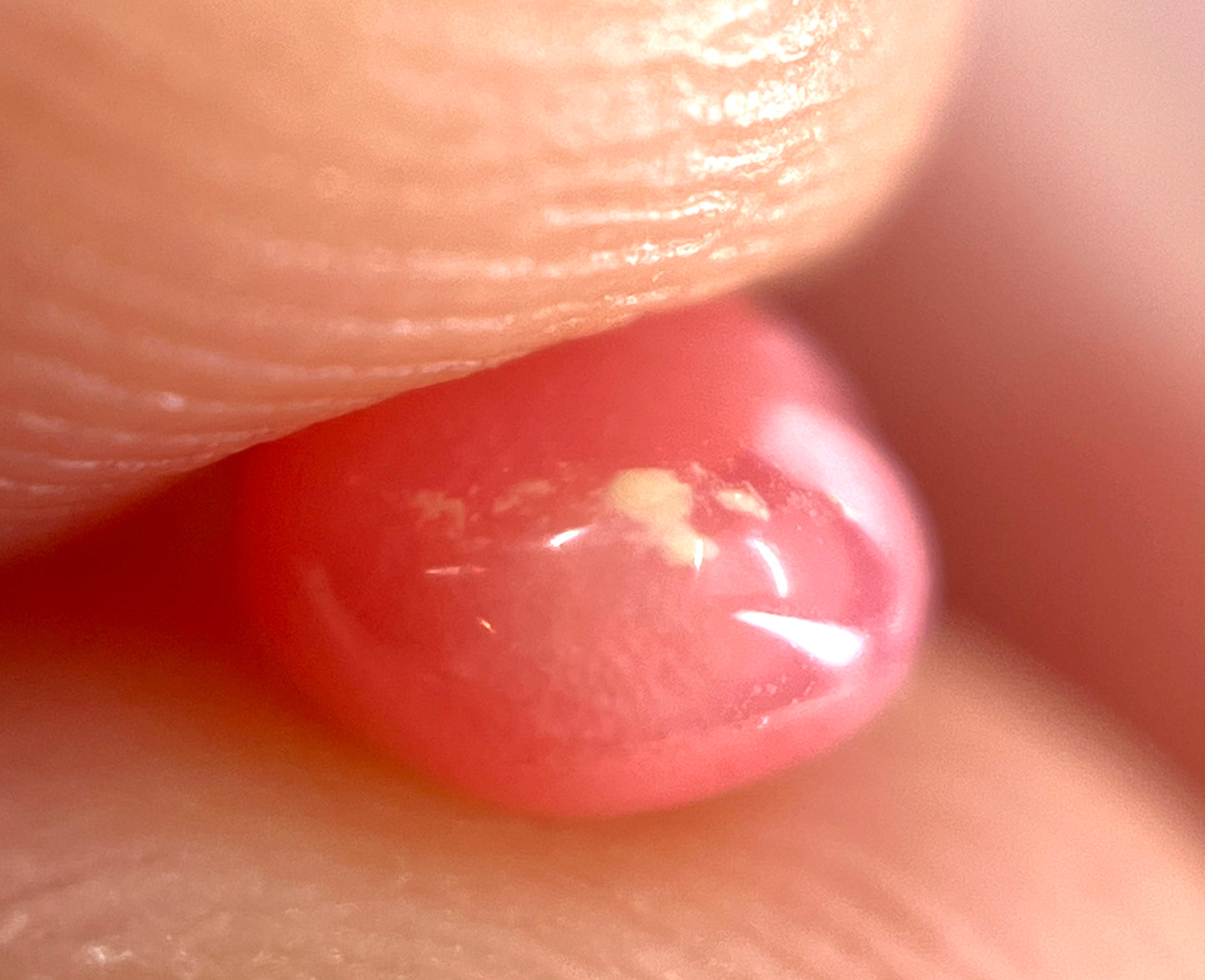 1.25 ct. Natural Pink Conch Pearl