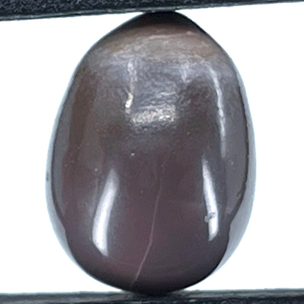 5.94 ct. Natural Quahog Pearl