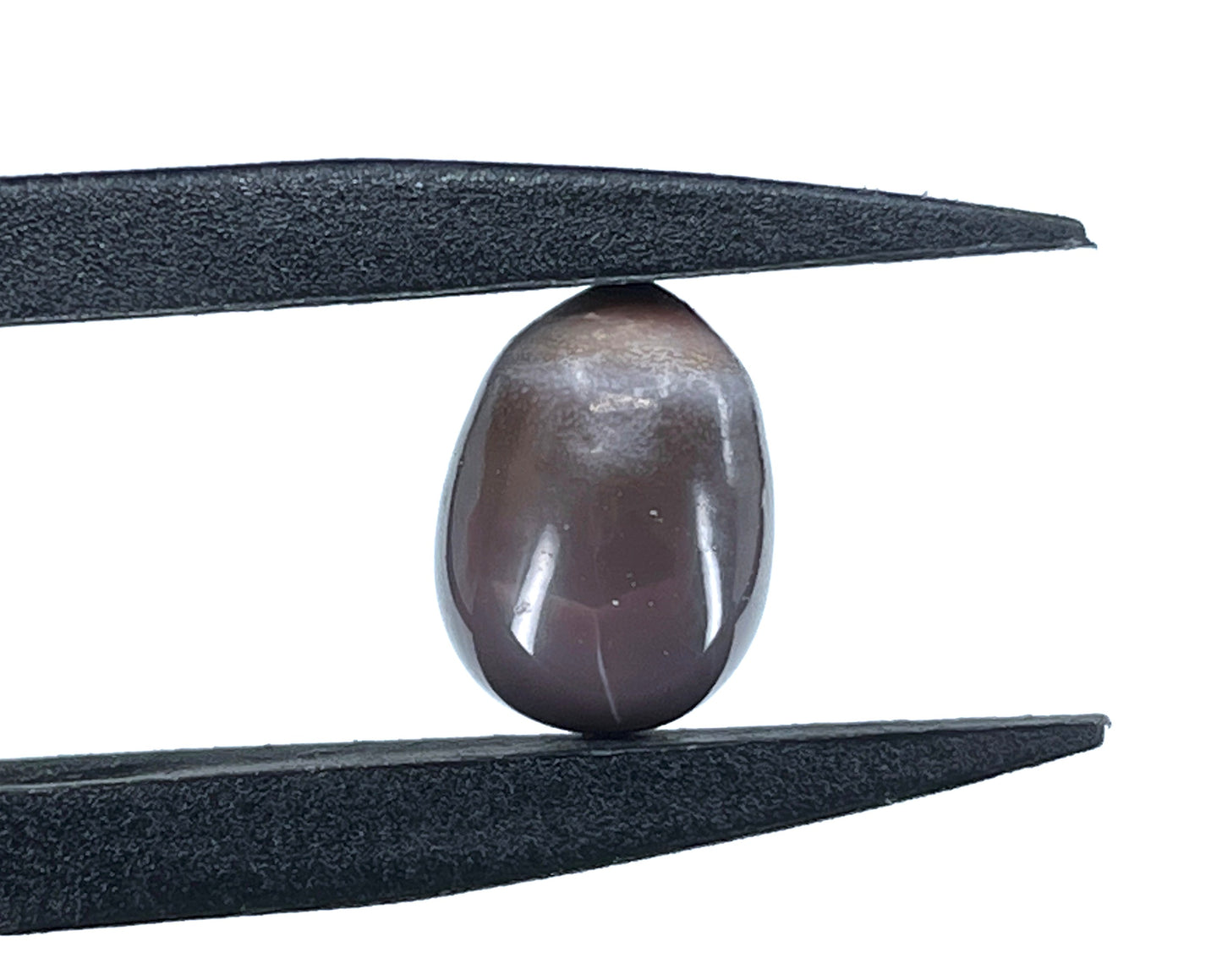 5.94 ct. Natural Quahog Pearl