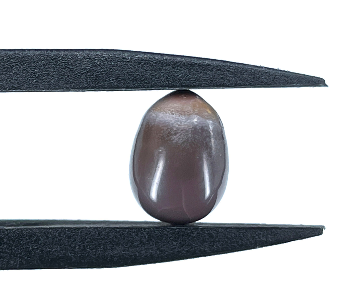 5.94 ct. Natural Quahog Pearl