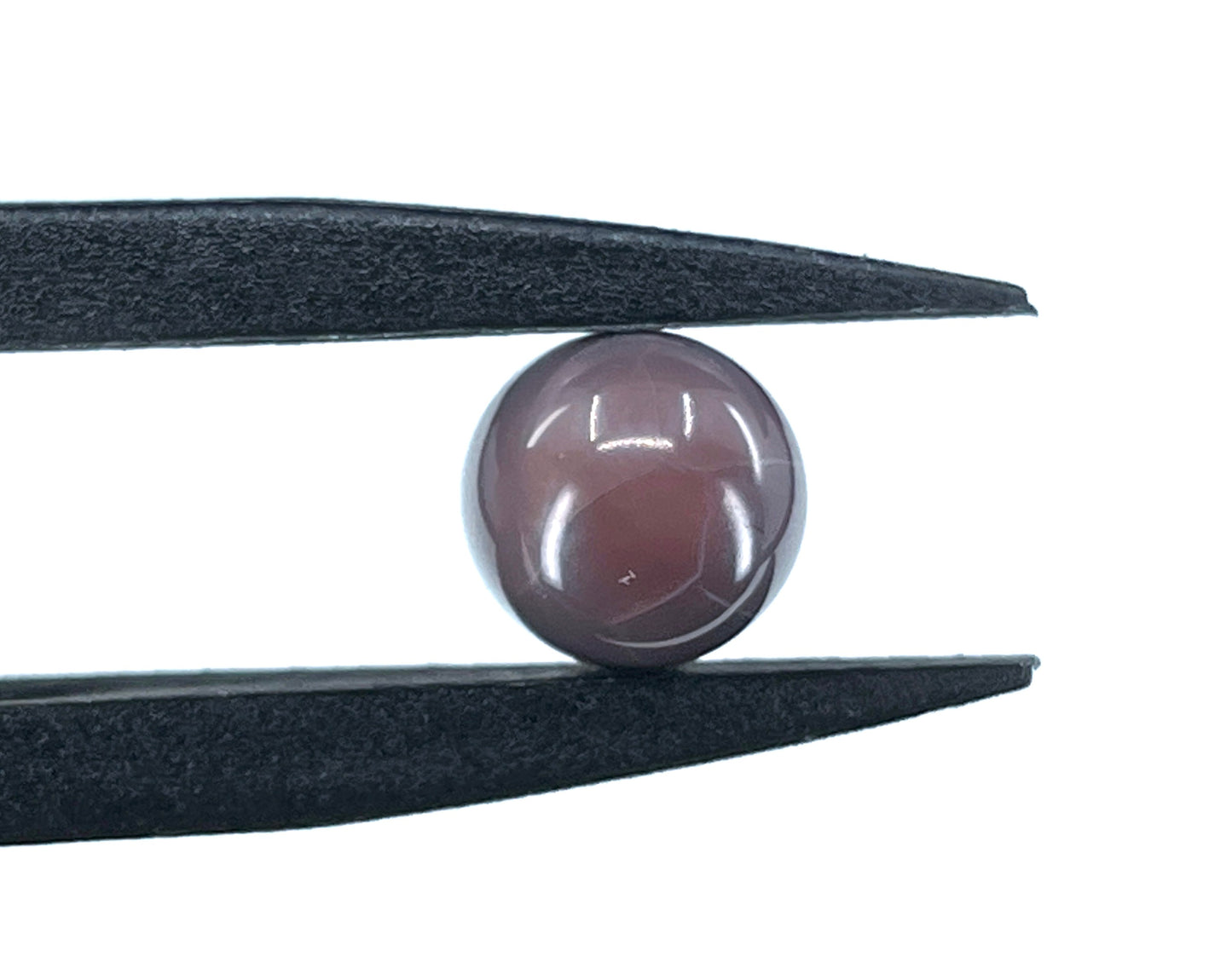 5.94 ct. Natural Quahog Pearl
