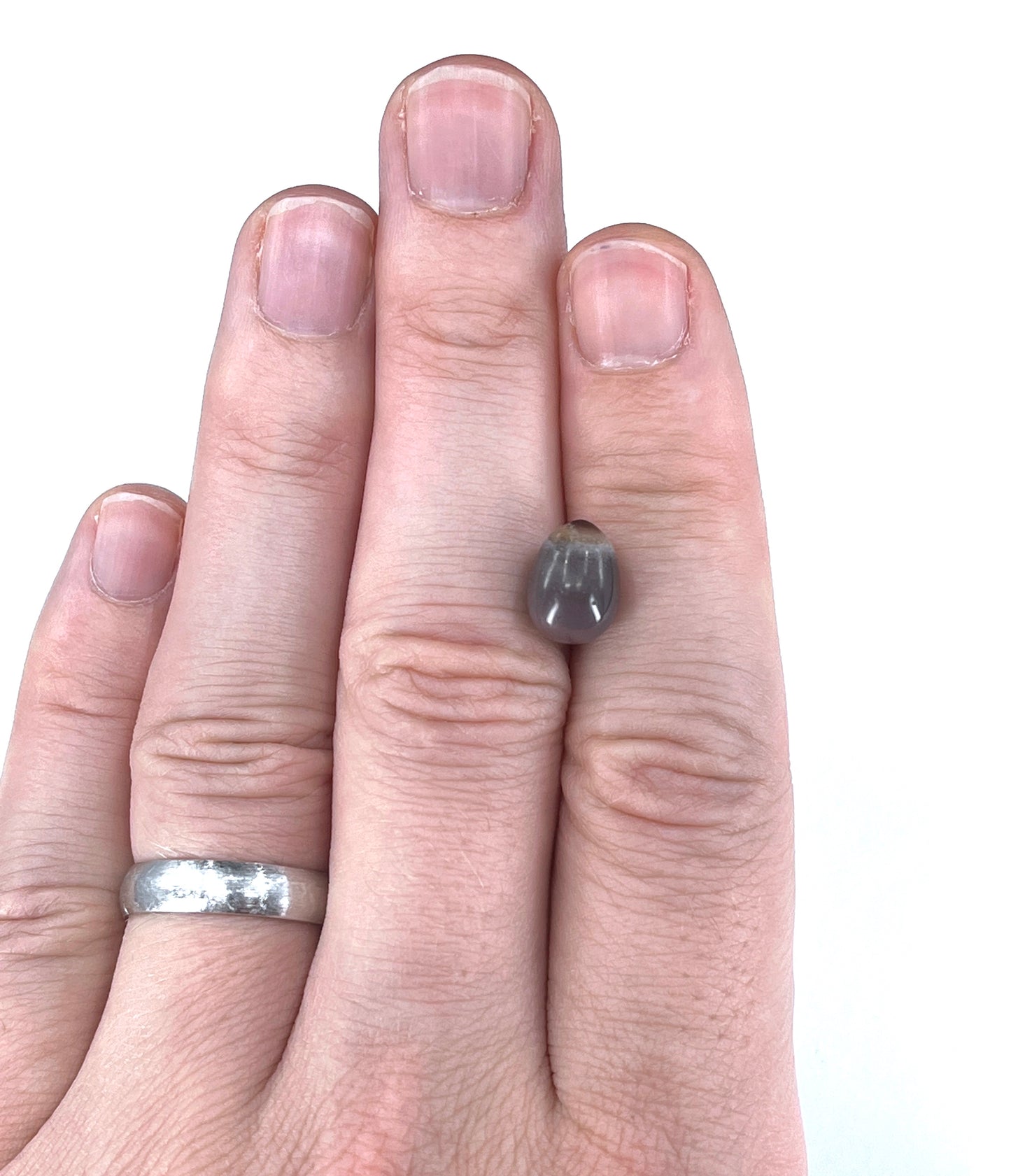 5.94 ct. Natural Quahog Pearl