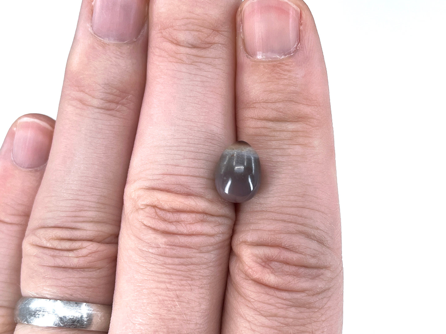 5.94 ct. Natural Quahog Pearl