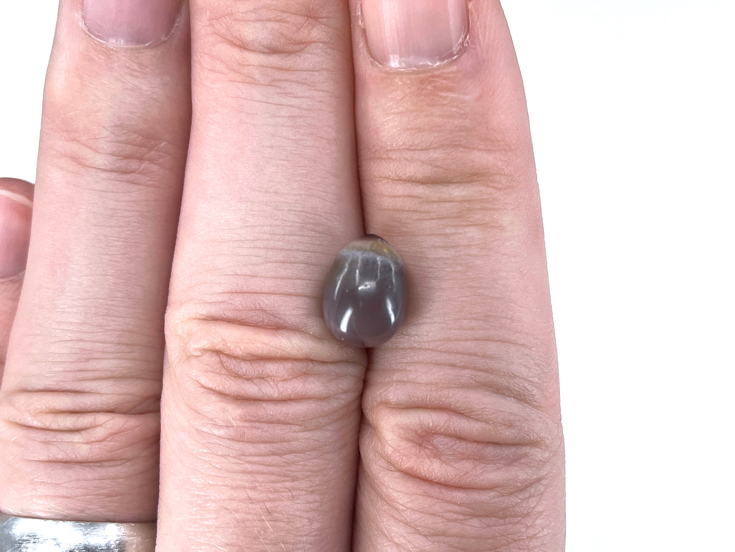 5.94 ct. Natural Quahog Pearl