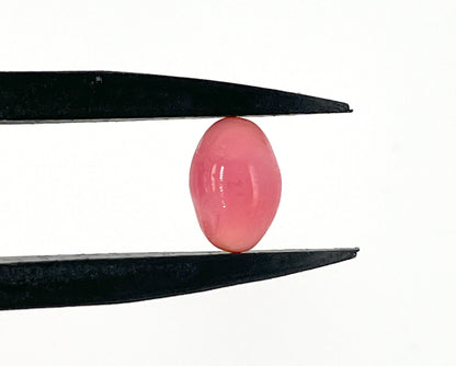 3.00 ct. Natural Pink Conch Pearl