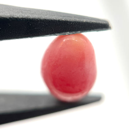 3.00 ct. Natural Pink Conch Pearl