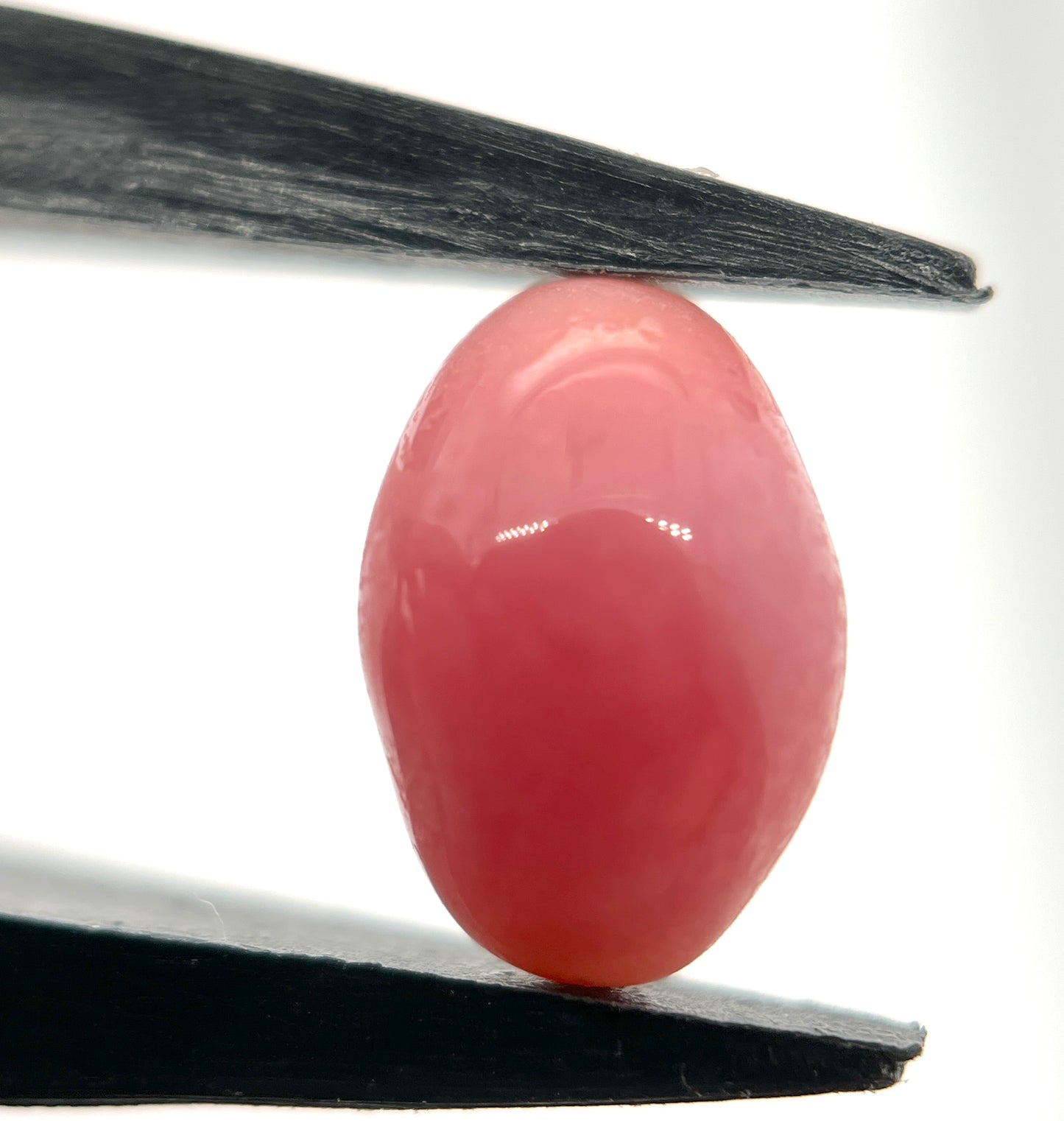 3.00 ct. Natural Pink Conch Pearl